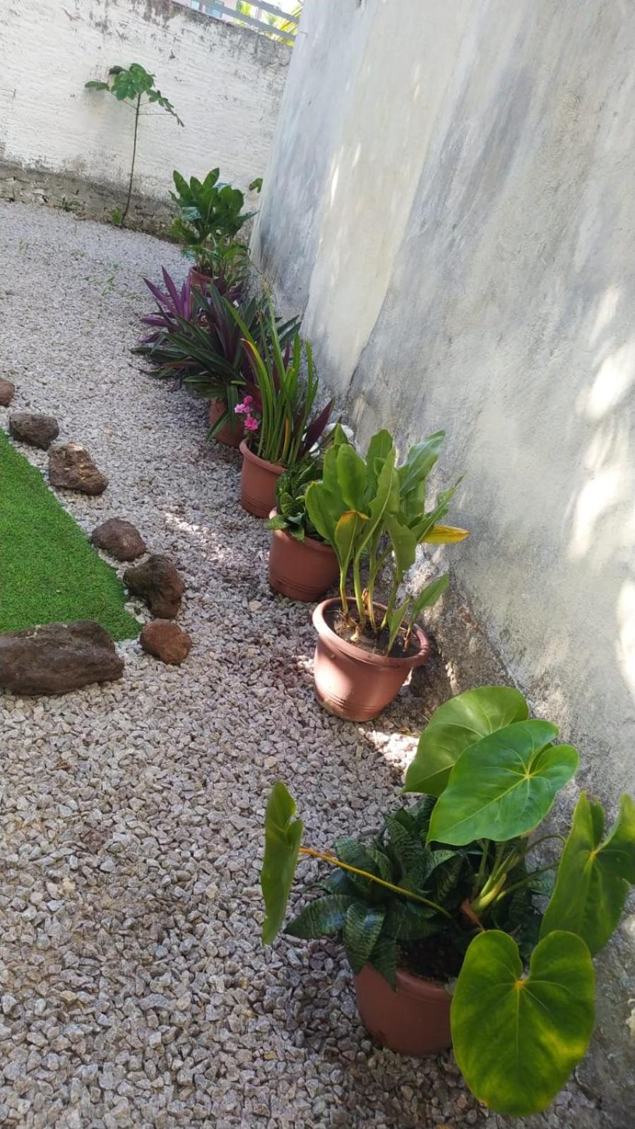 COMPLEJO PONTA das BRILLES. DTO. 2.