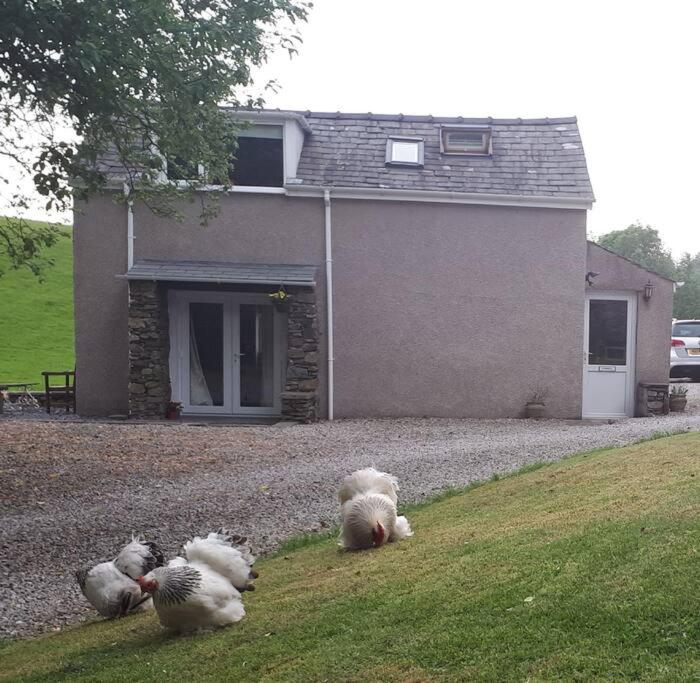 Tudor Cottage, Newby Bridge view 4