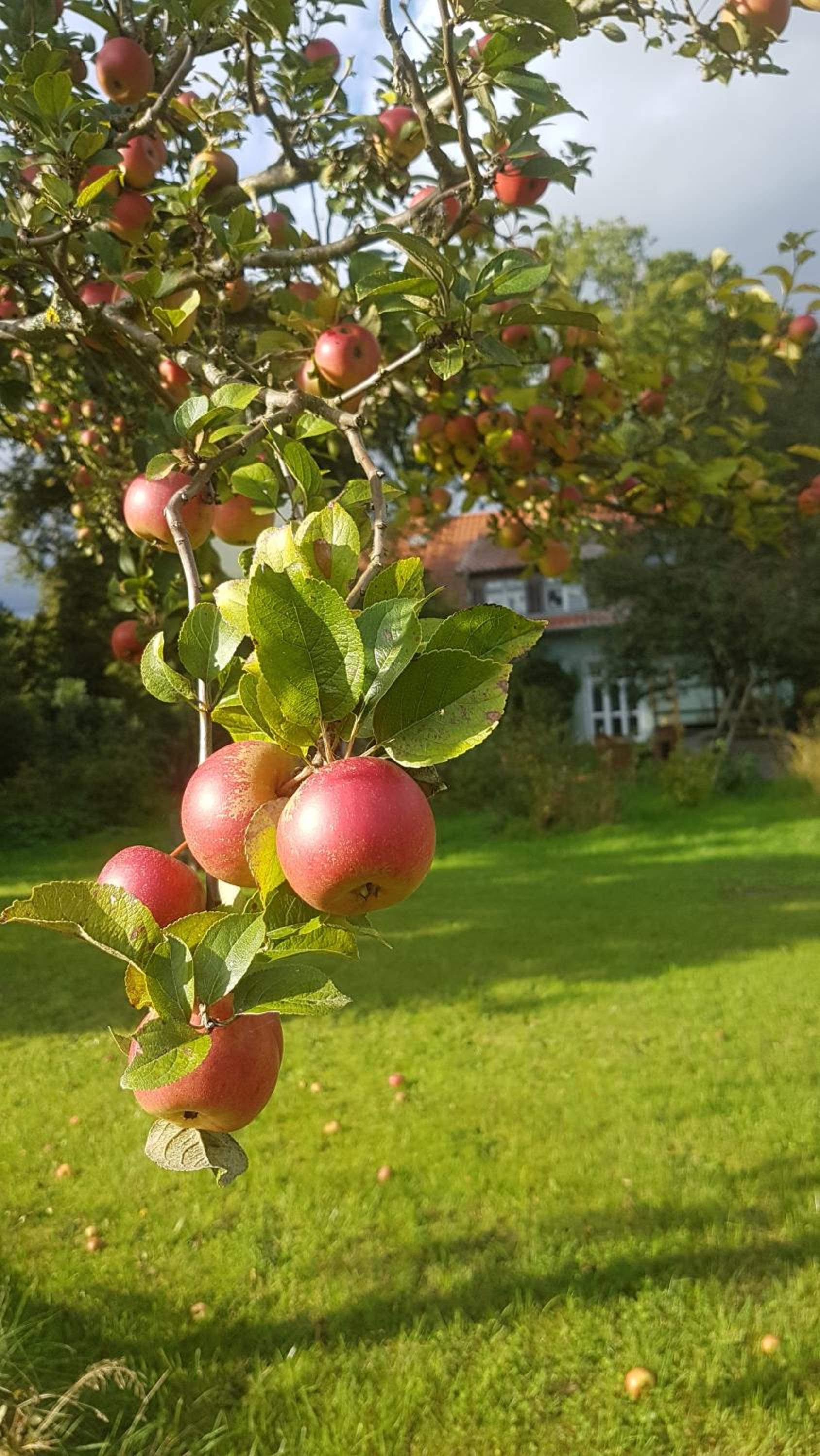 in die Ferien mit 16 Freunden