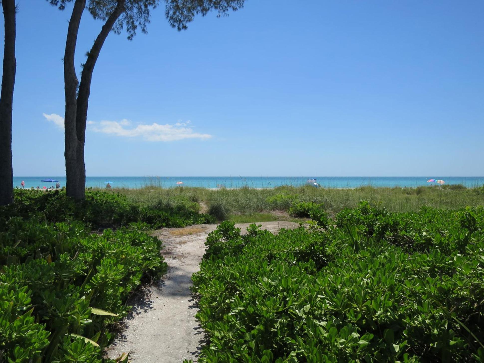 Sunset Beach 101 Beach Front Unit view 5