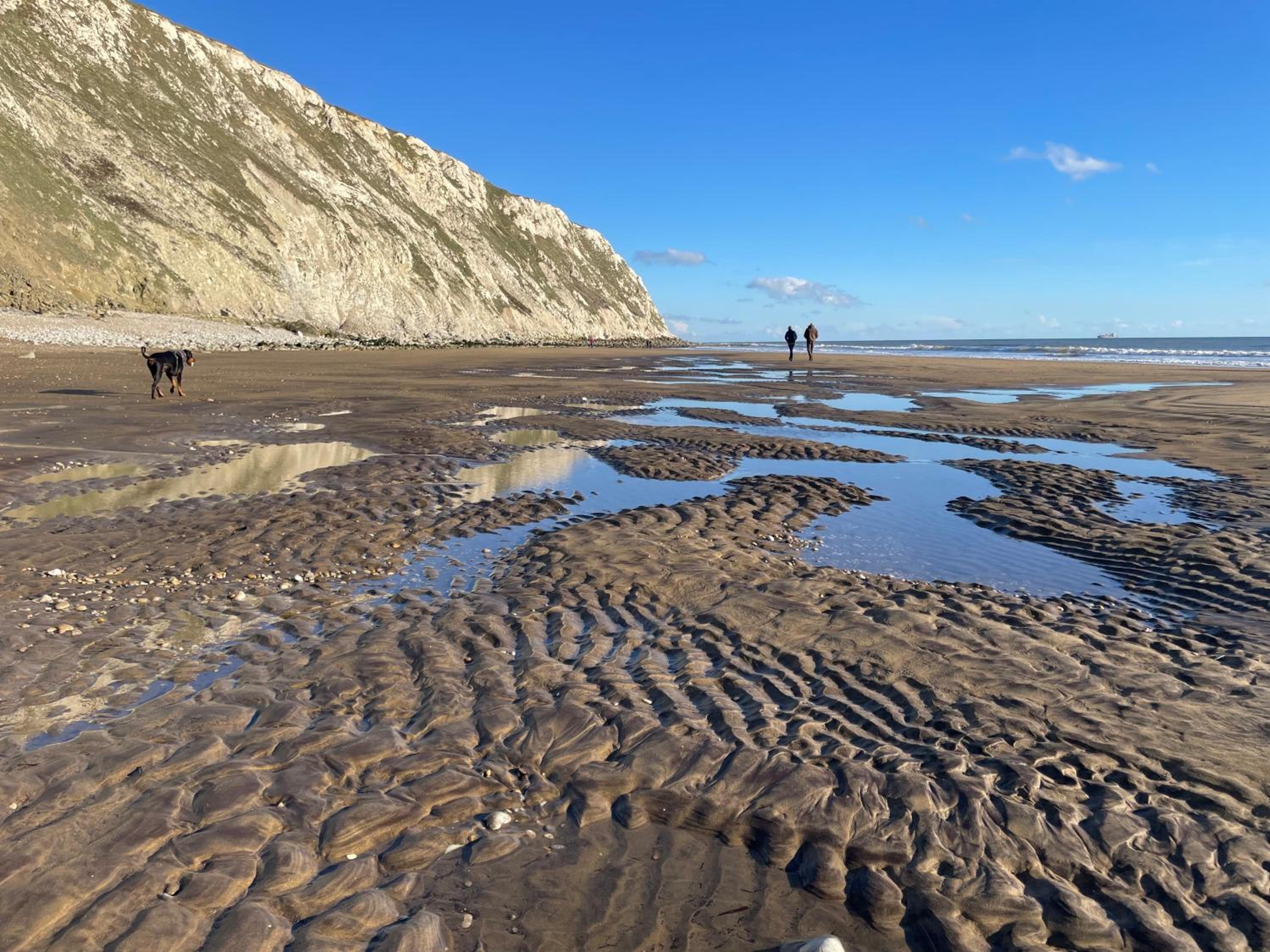 Wight Waves Holidays