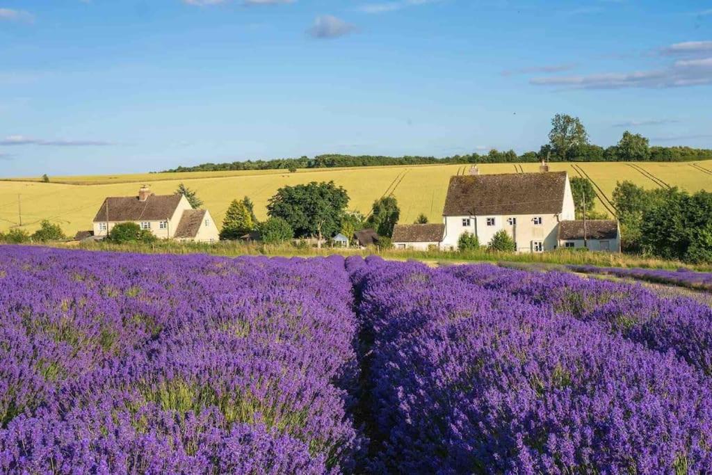 Lotties Cottage