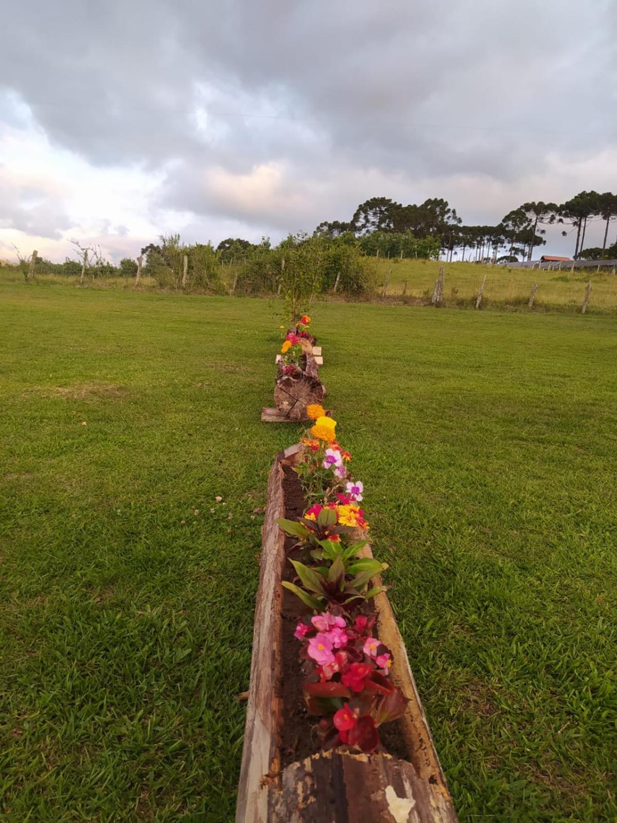 Pousada Flor do Campestre