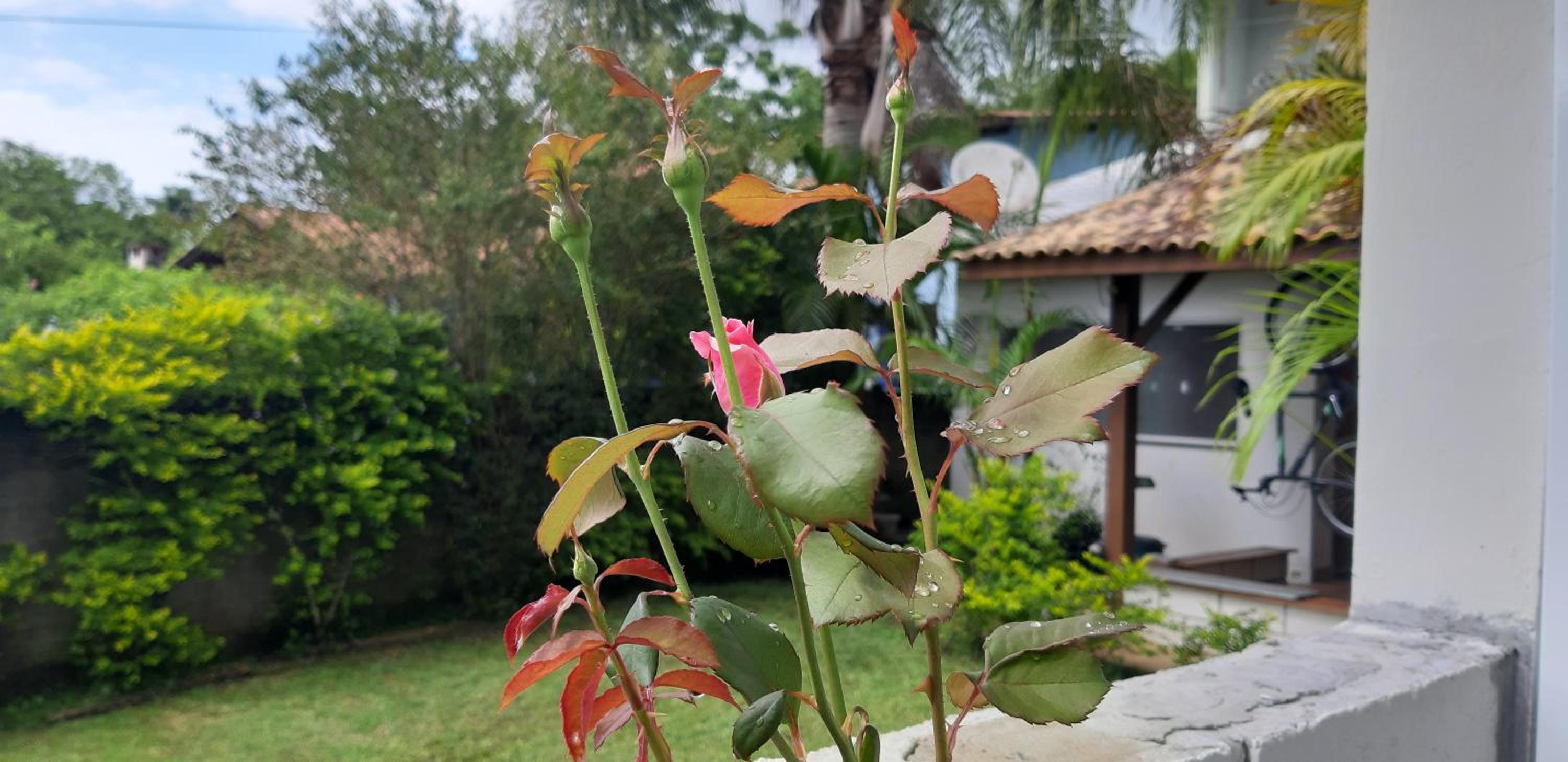 Aconchego em Floripa