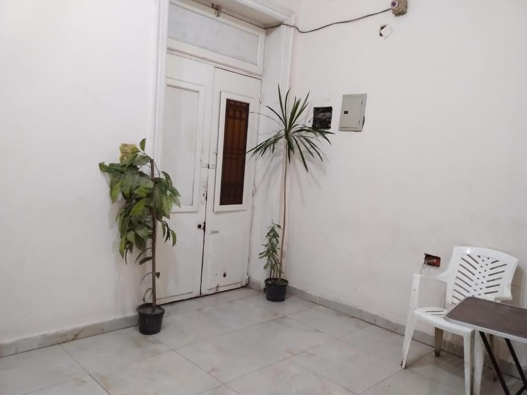 New Safari Hostel