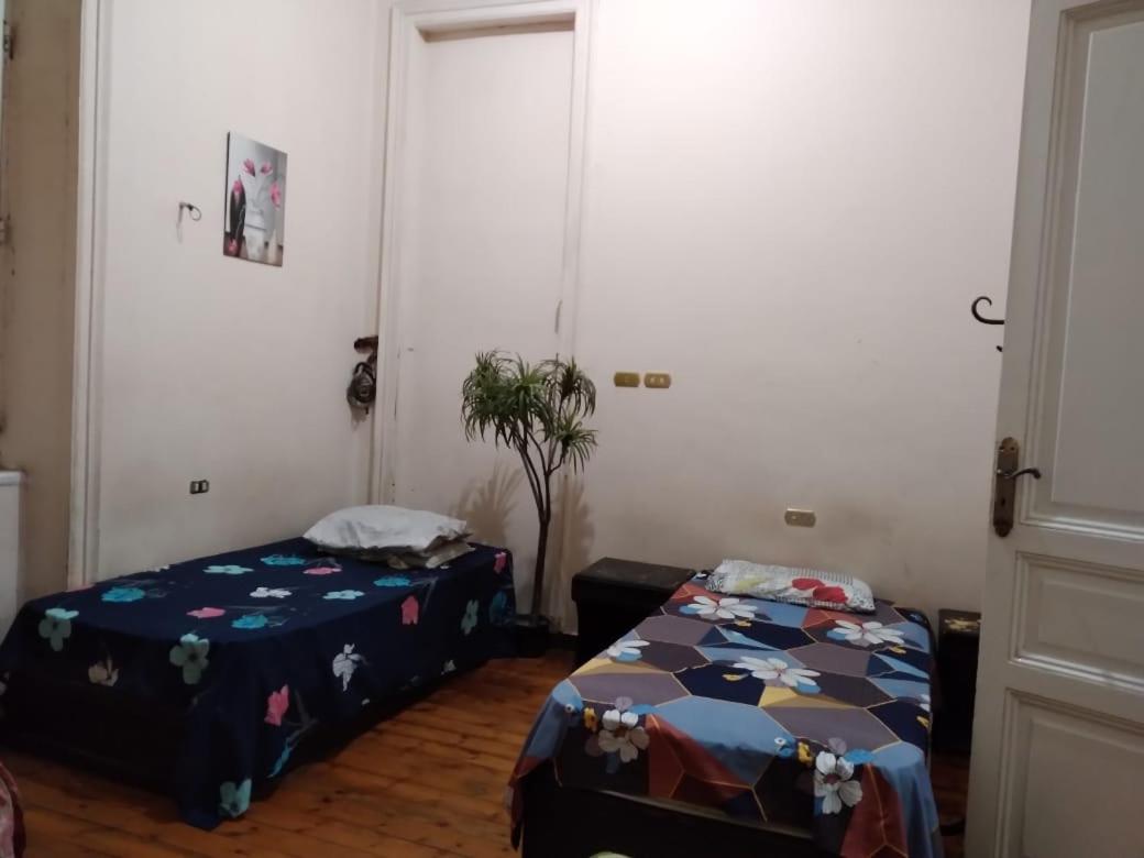 New Safari Hostel