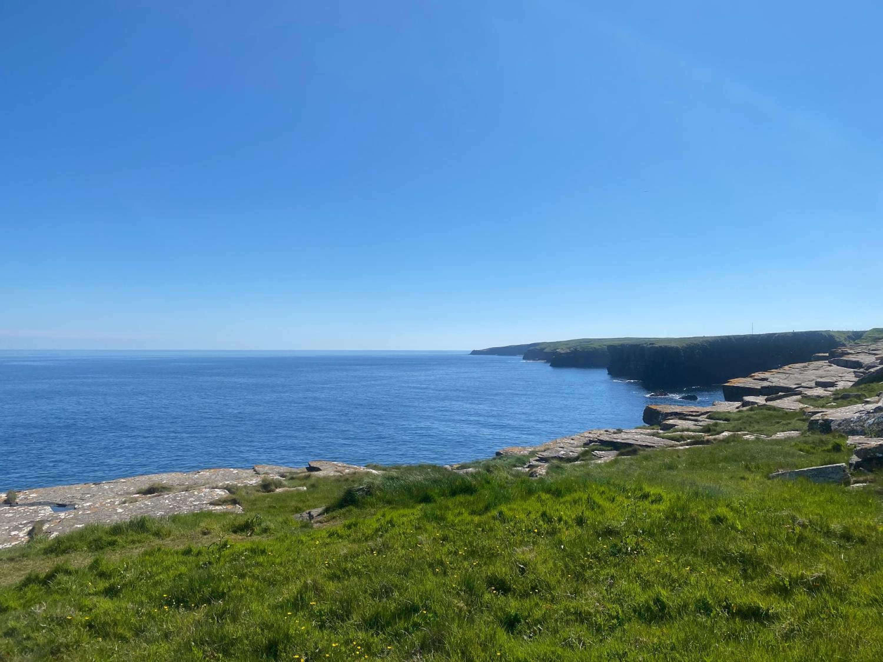 other
