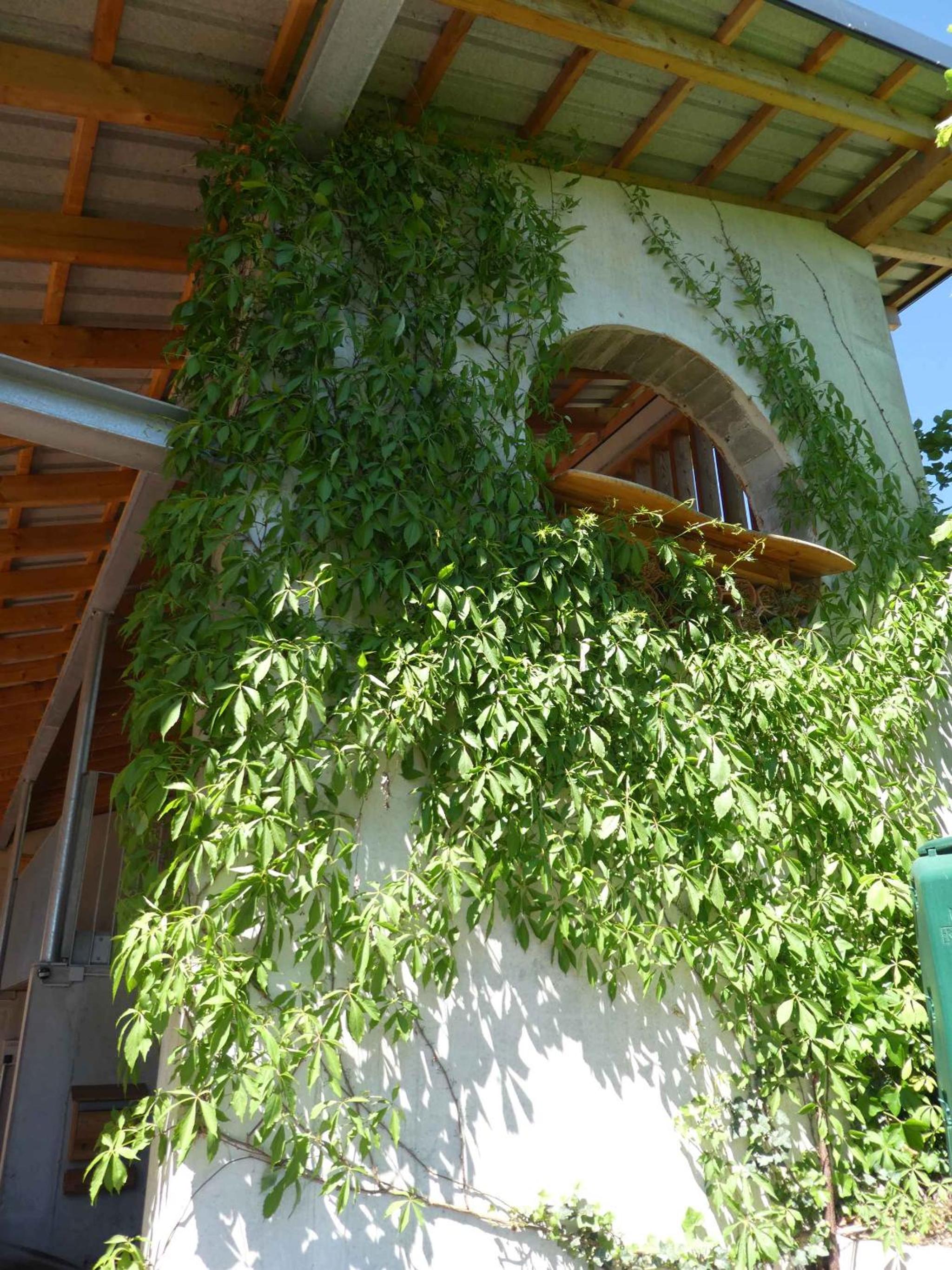 Apartments in Fischbach bei Dahn - Pfälzerwald 42914