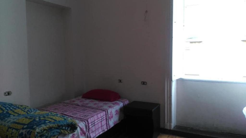 New Safari Hostel