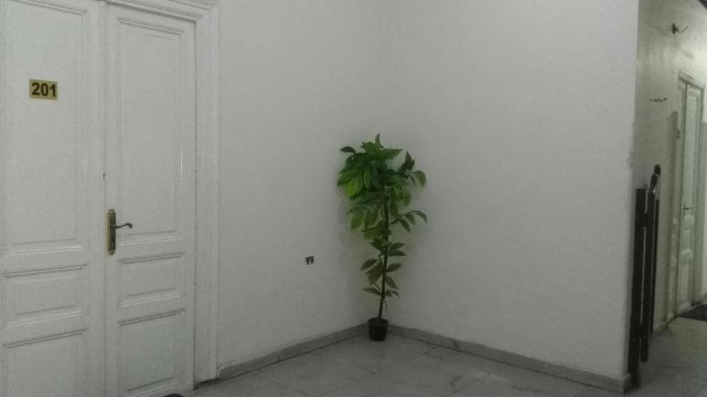 New Safari Hostel