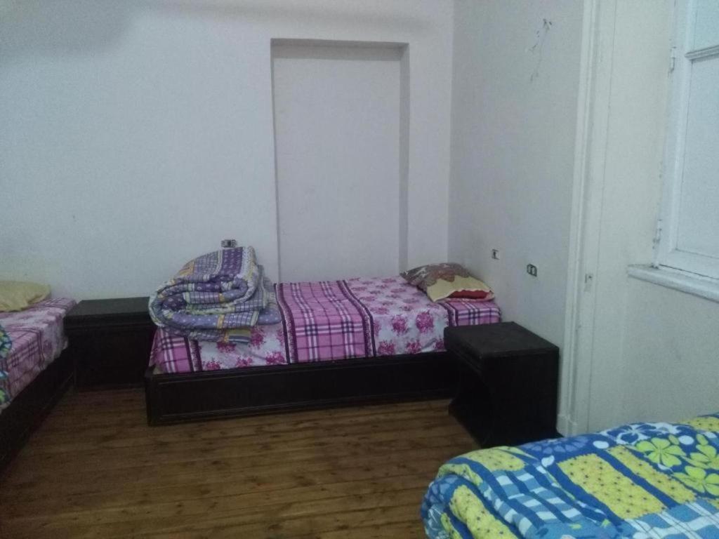 New Safari Hostel