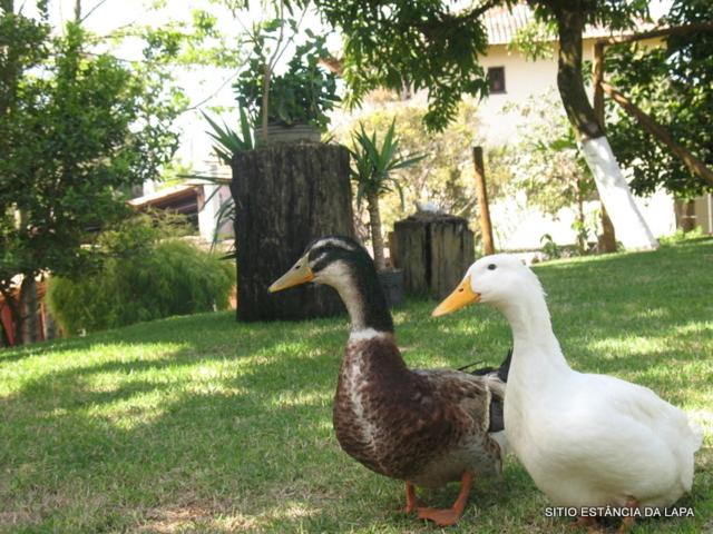SITIO ESTANCIA DA LAPA