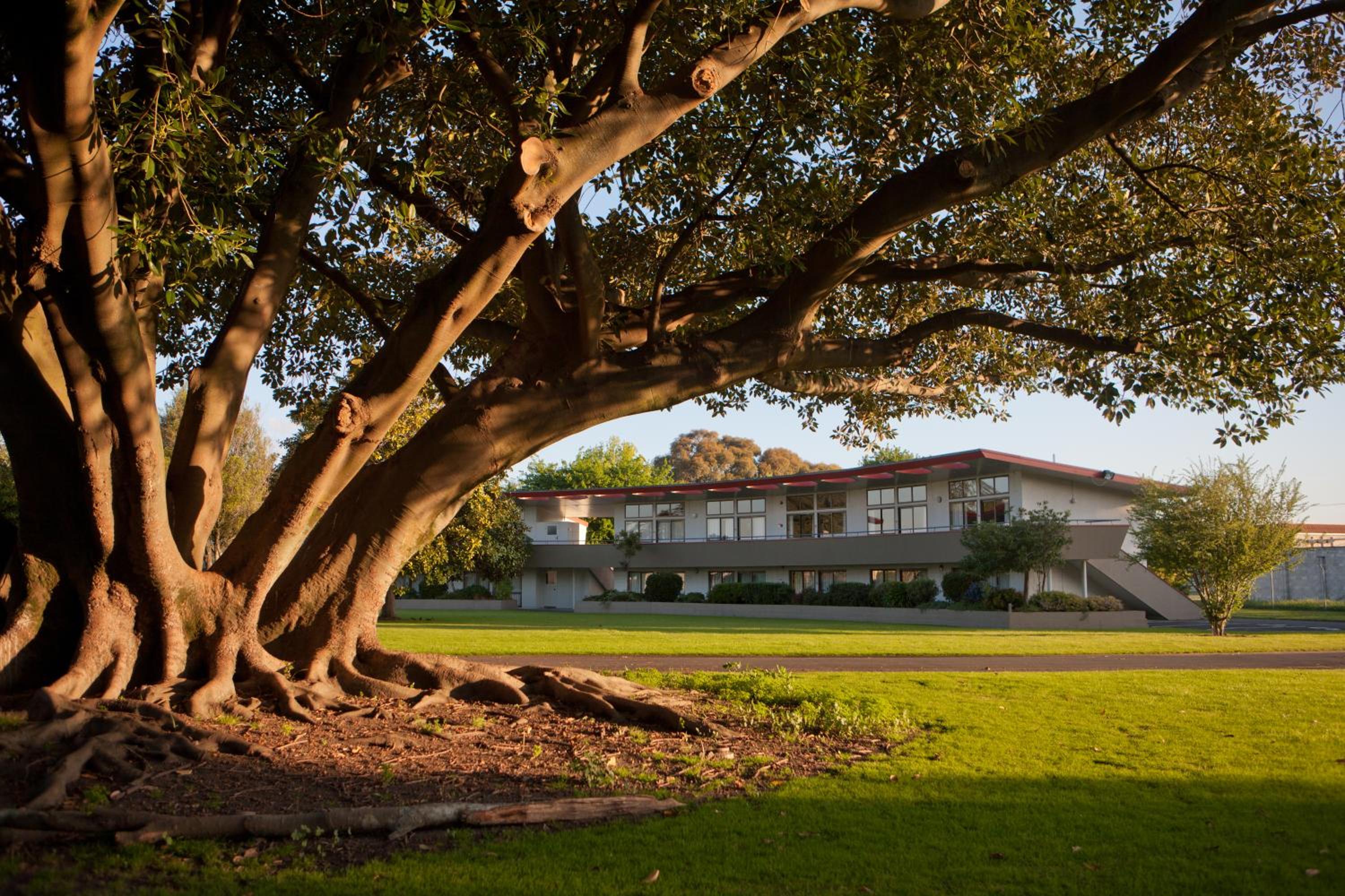 Kennedy Park Resort Napier
