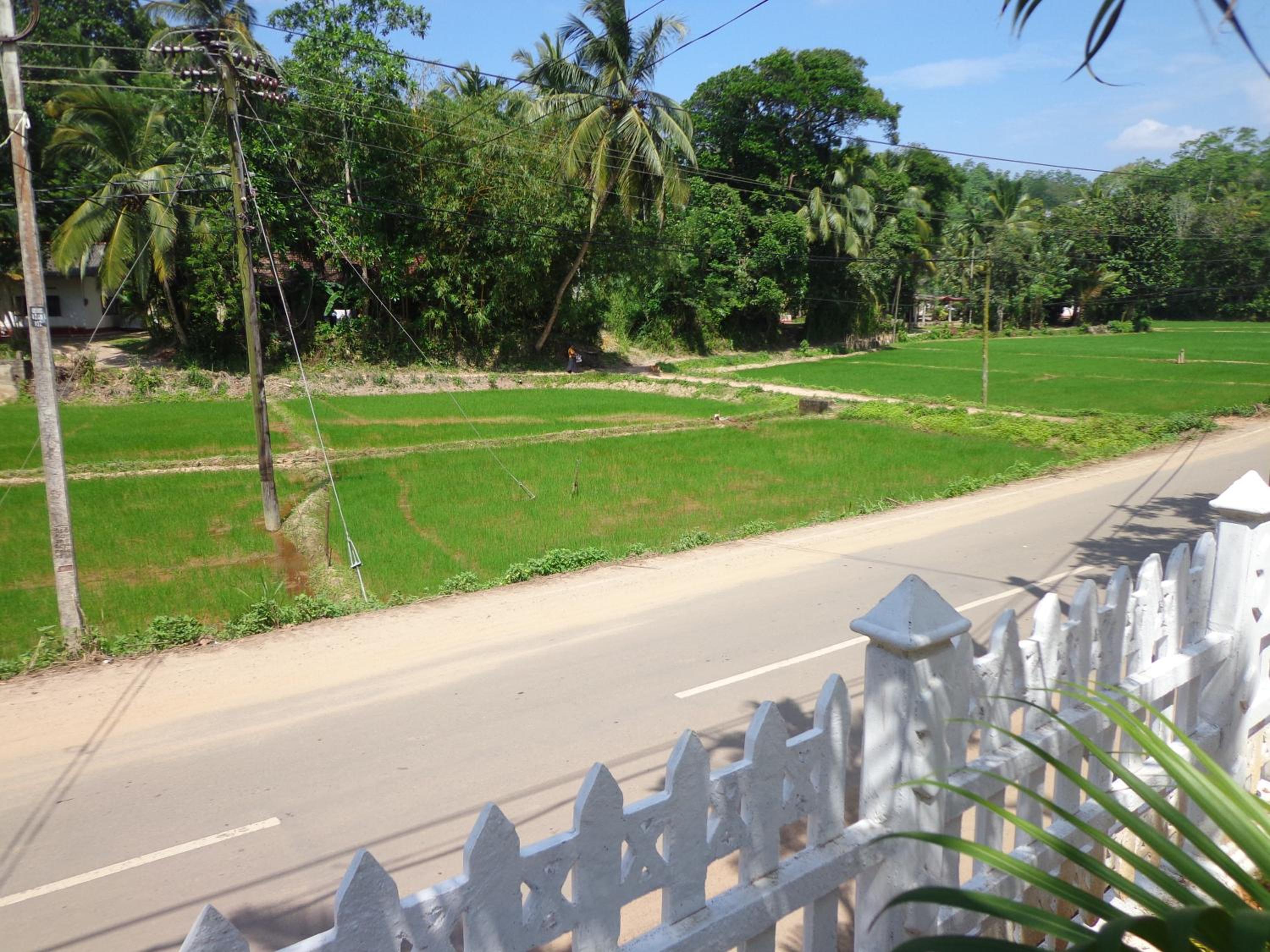 Shadow Homestay