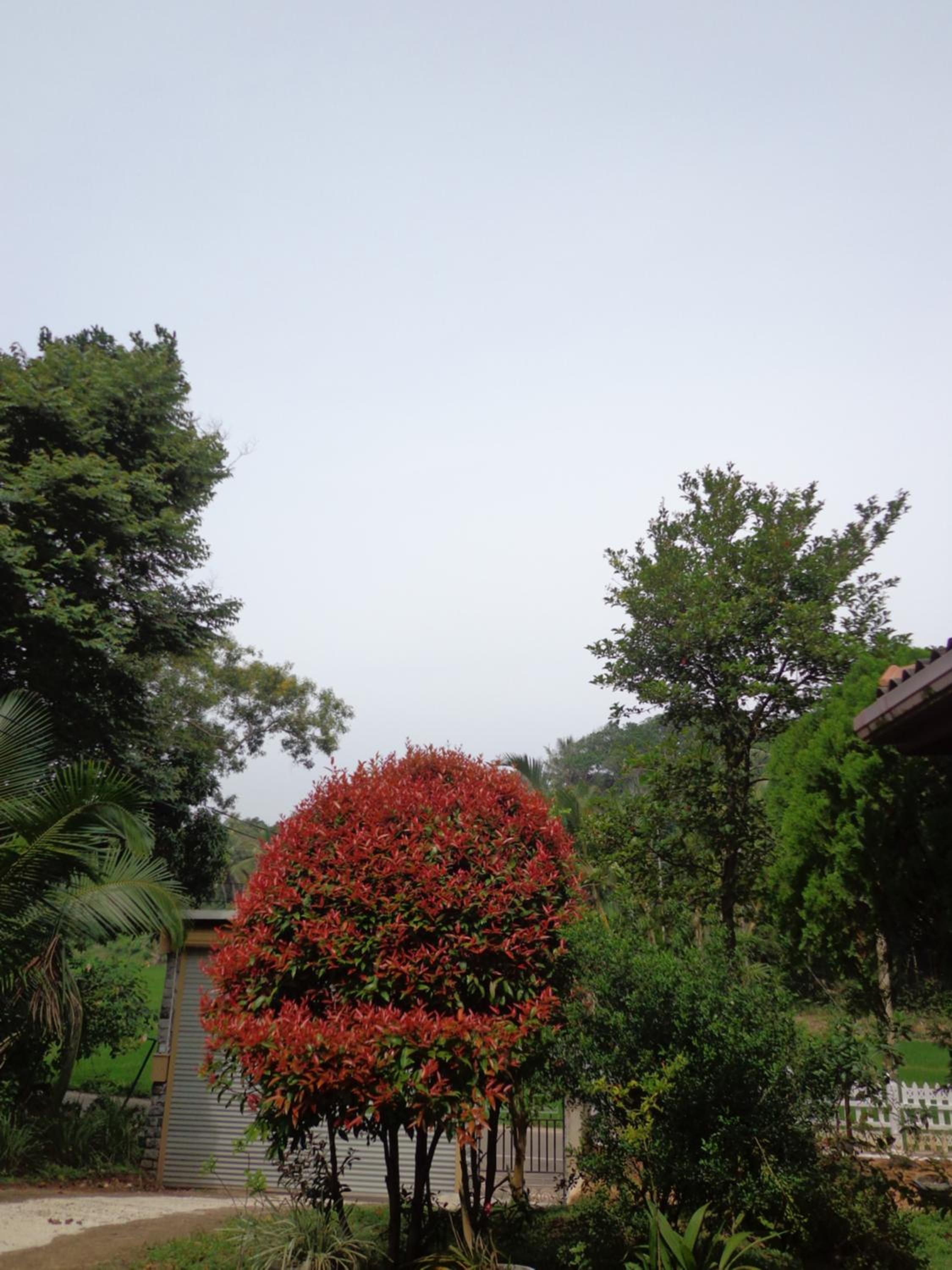 Shadow Homestay