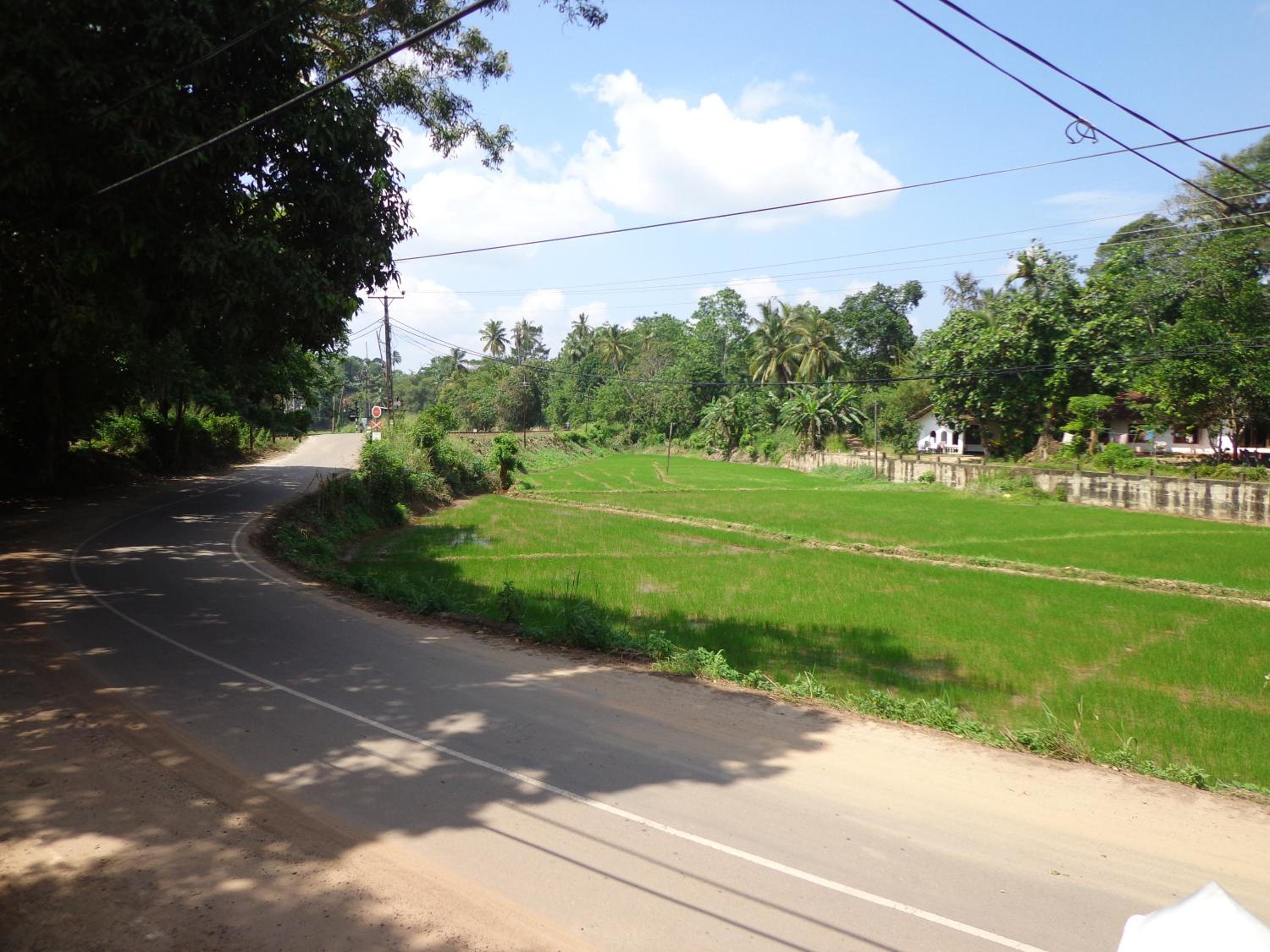 Shadow Homestay