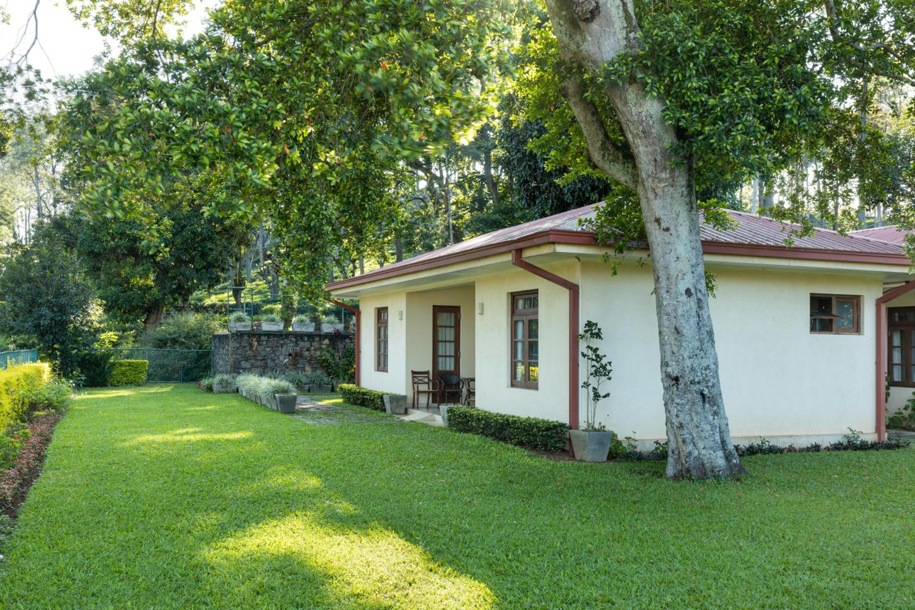 Olive Bungalow view 3