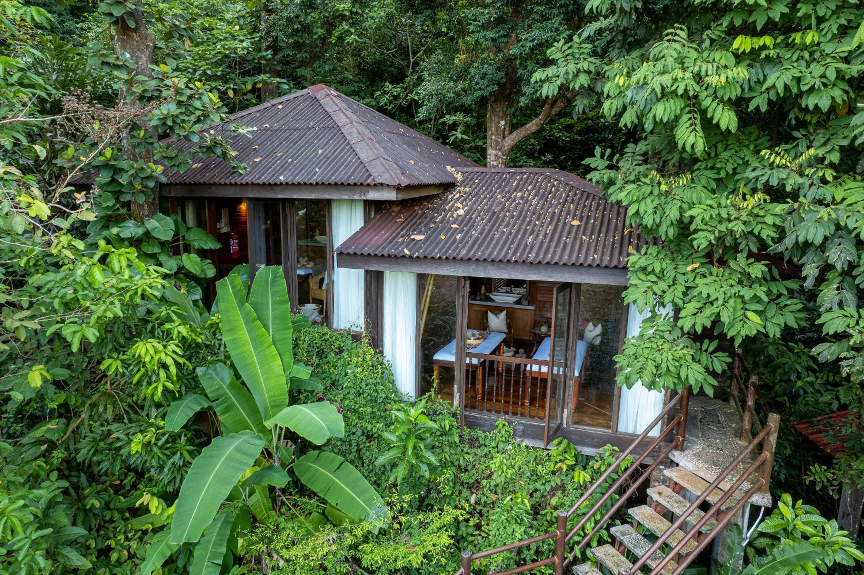Ambong Rainforest Retreat — photo 57