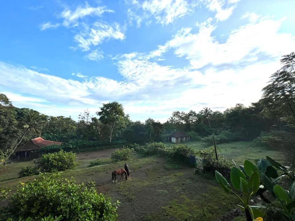 Havana Horses Lodge view 2