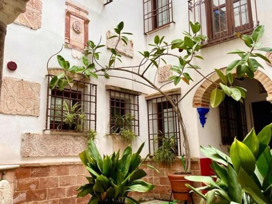 Geysotur Buhardilla de Wallada Córdoba