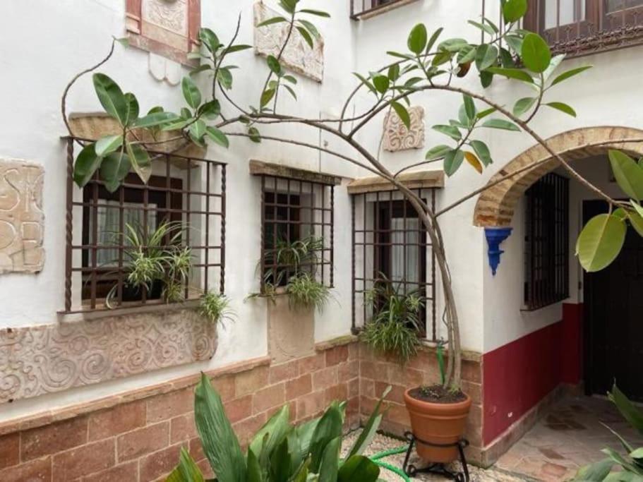 Geysotur Buhardilla de Wallada Córdoba