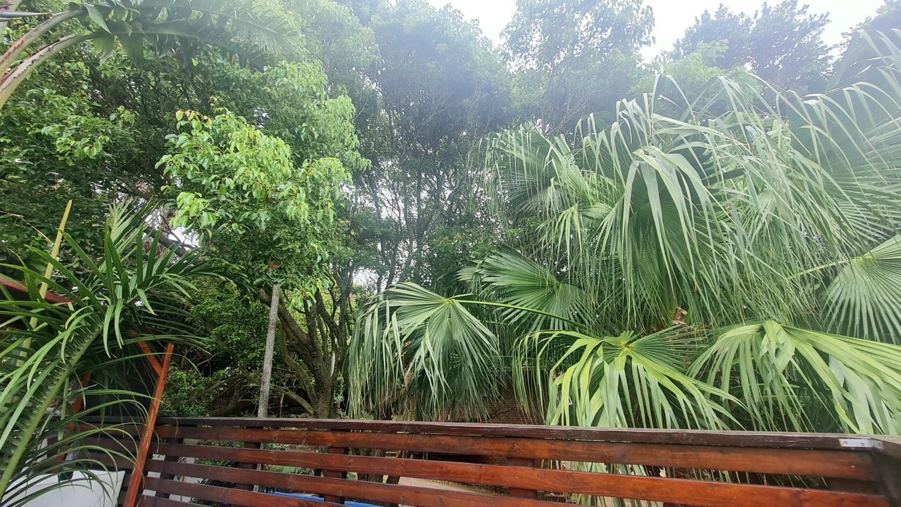 Tropical 4 Bedroom 3 bathroom 8 to 10 sleeper Holiday Getaway