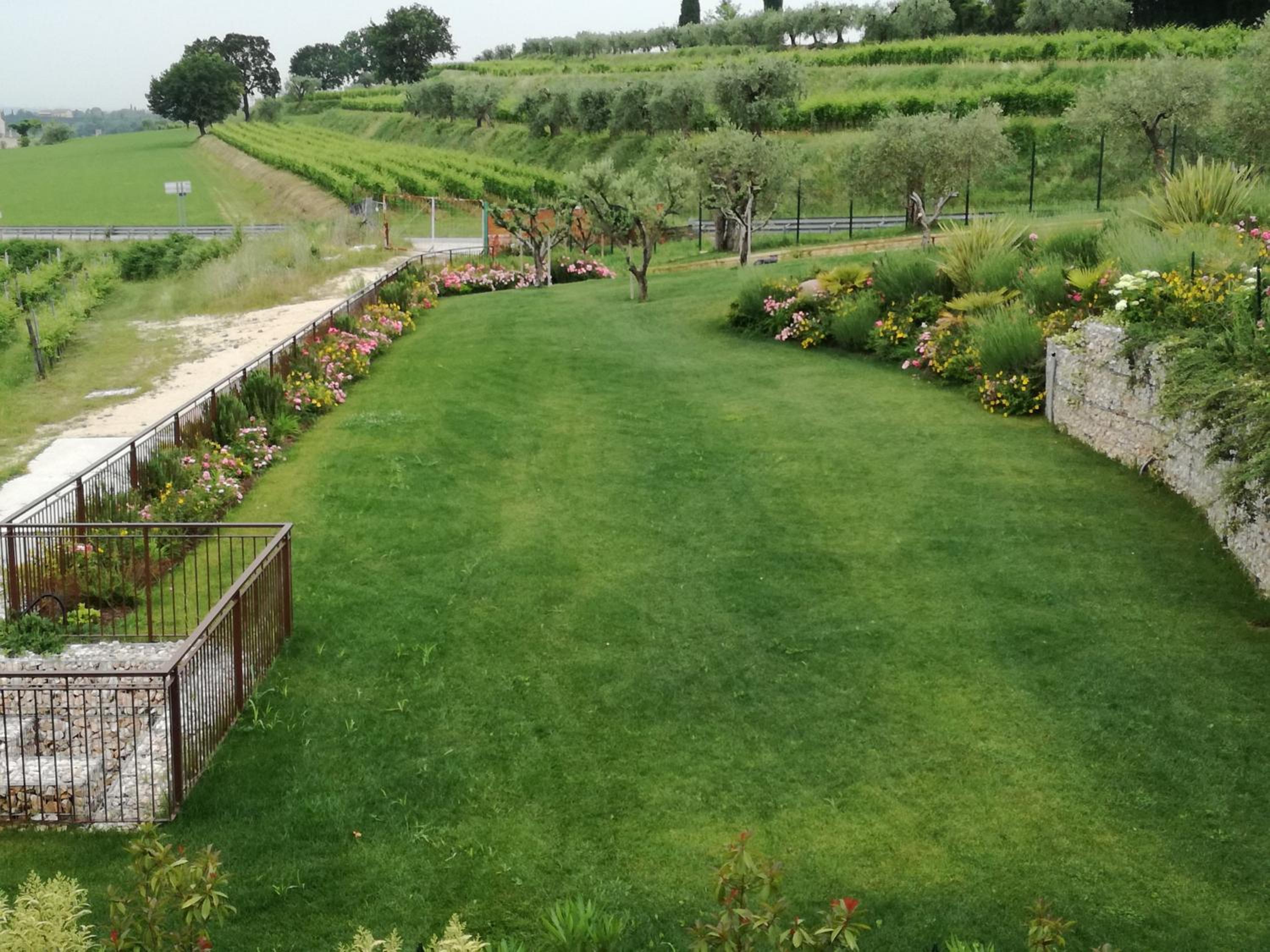 Agriturismo La Rondinella view 3
