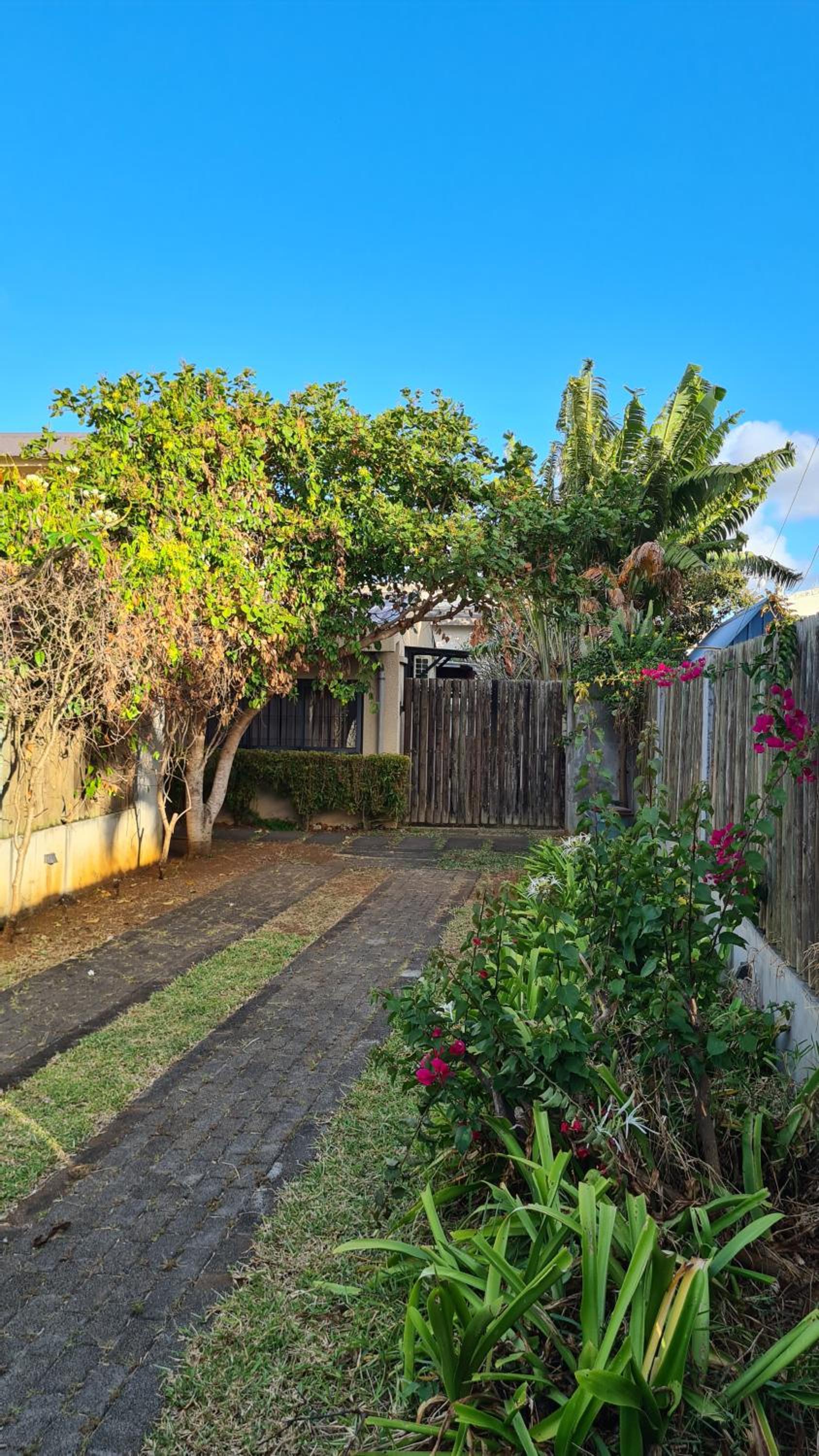 Villa Frangipani Mauritius view 3