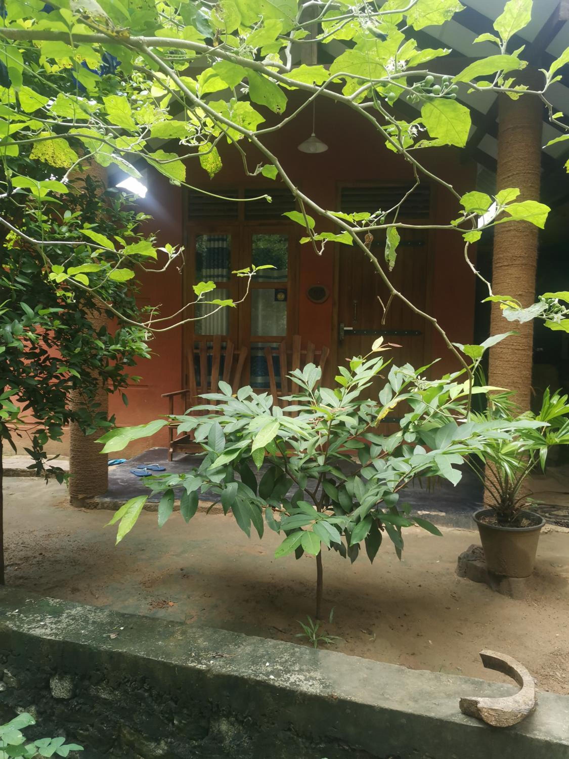 Photo 25