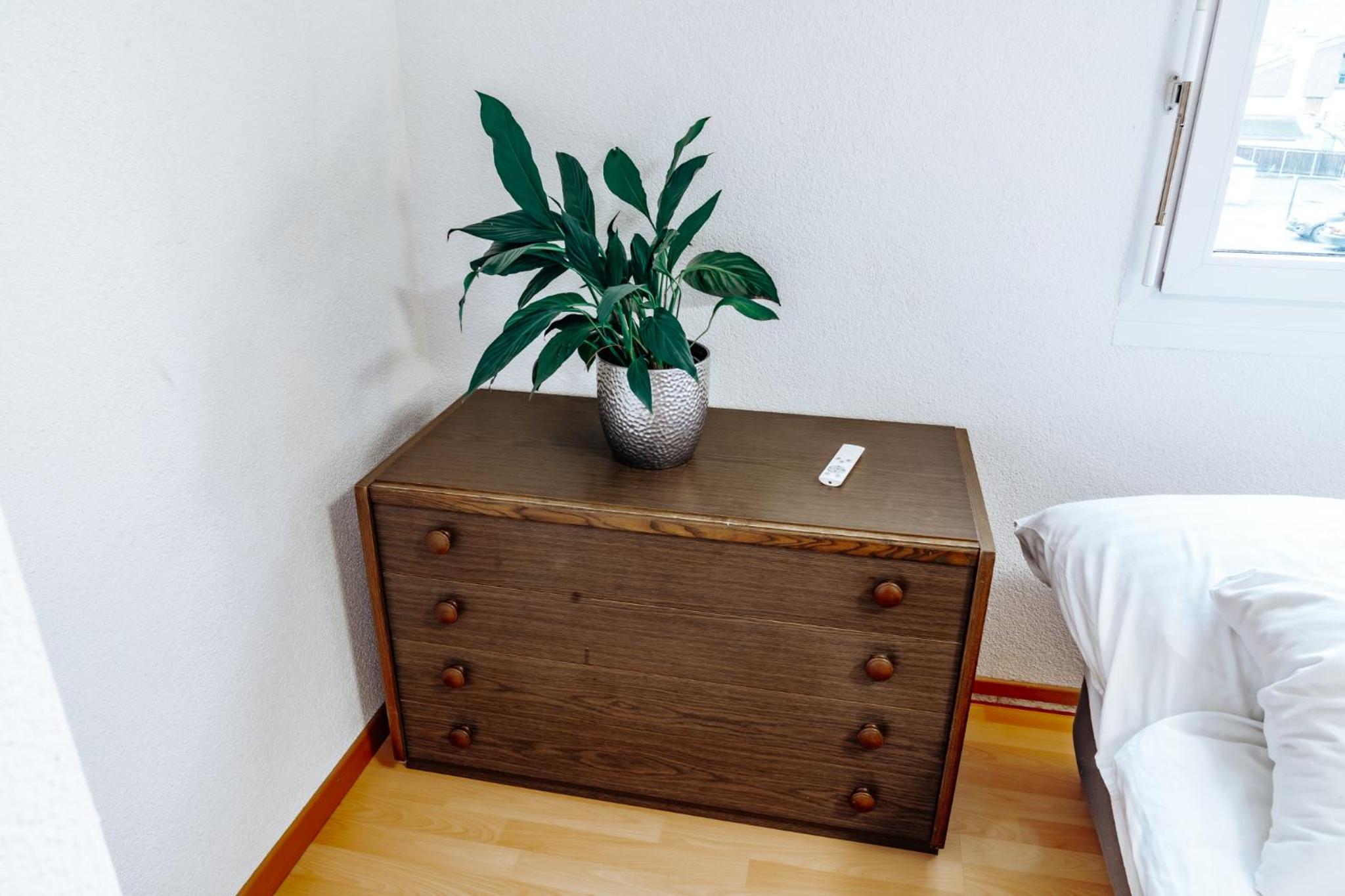 -City-Apartment, Buchs SG, Skie, Wanderroute, WiFi-