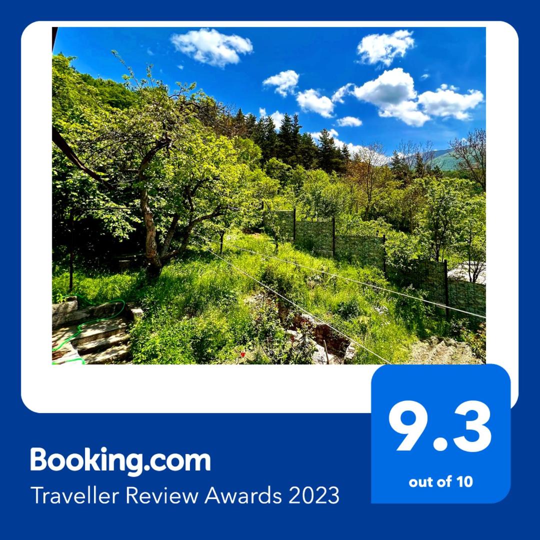 Mountain Top Getaway in Dilijan!