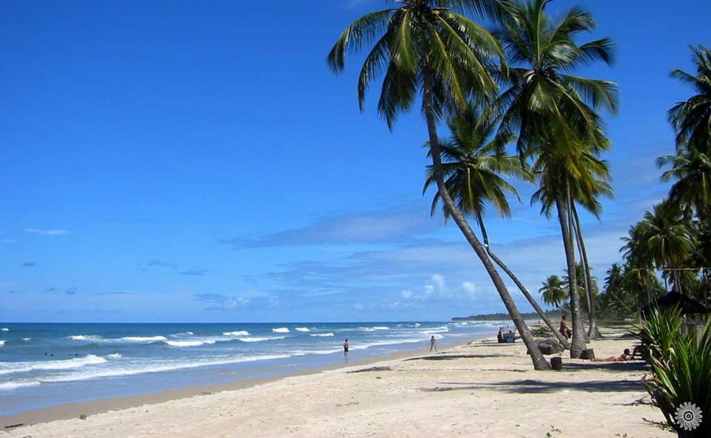 Casa Flor de Dendê, Serra Grande, Bahia