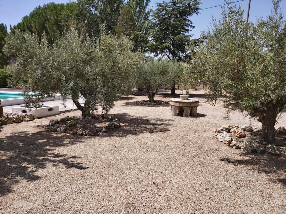 Photo 46