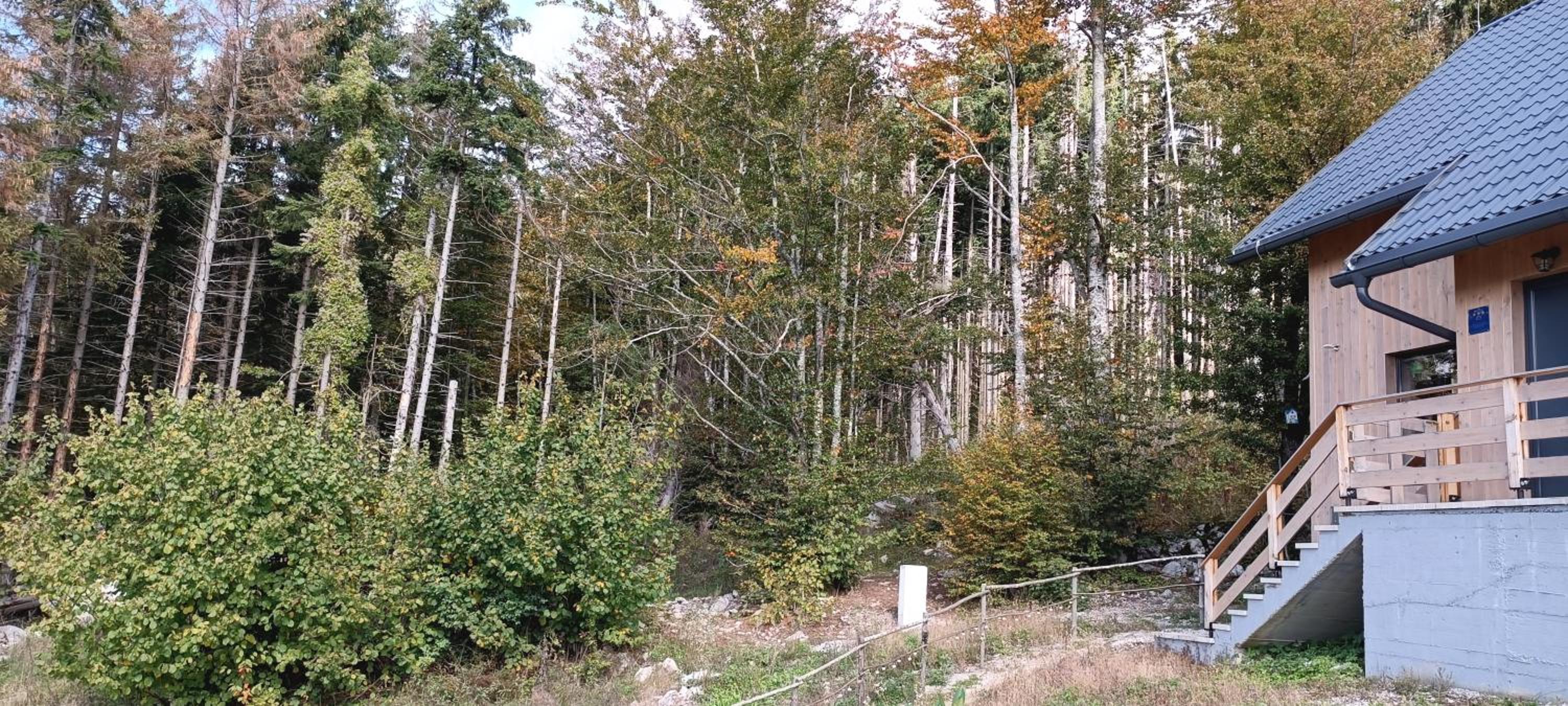 Photo 12