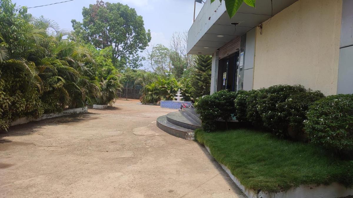 Photo 41