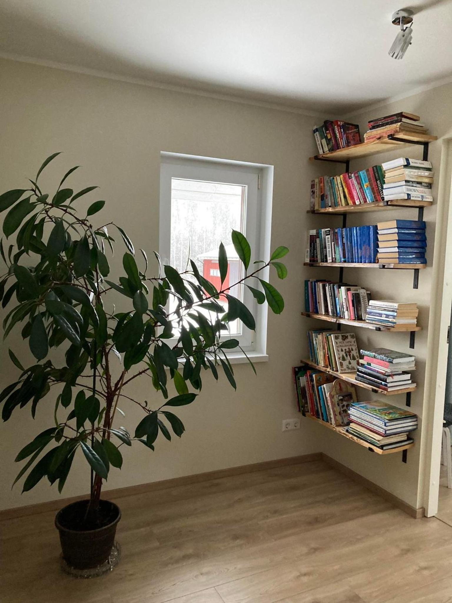 Photo 21