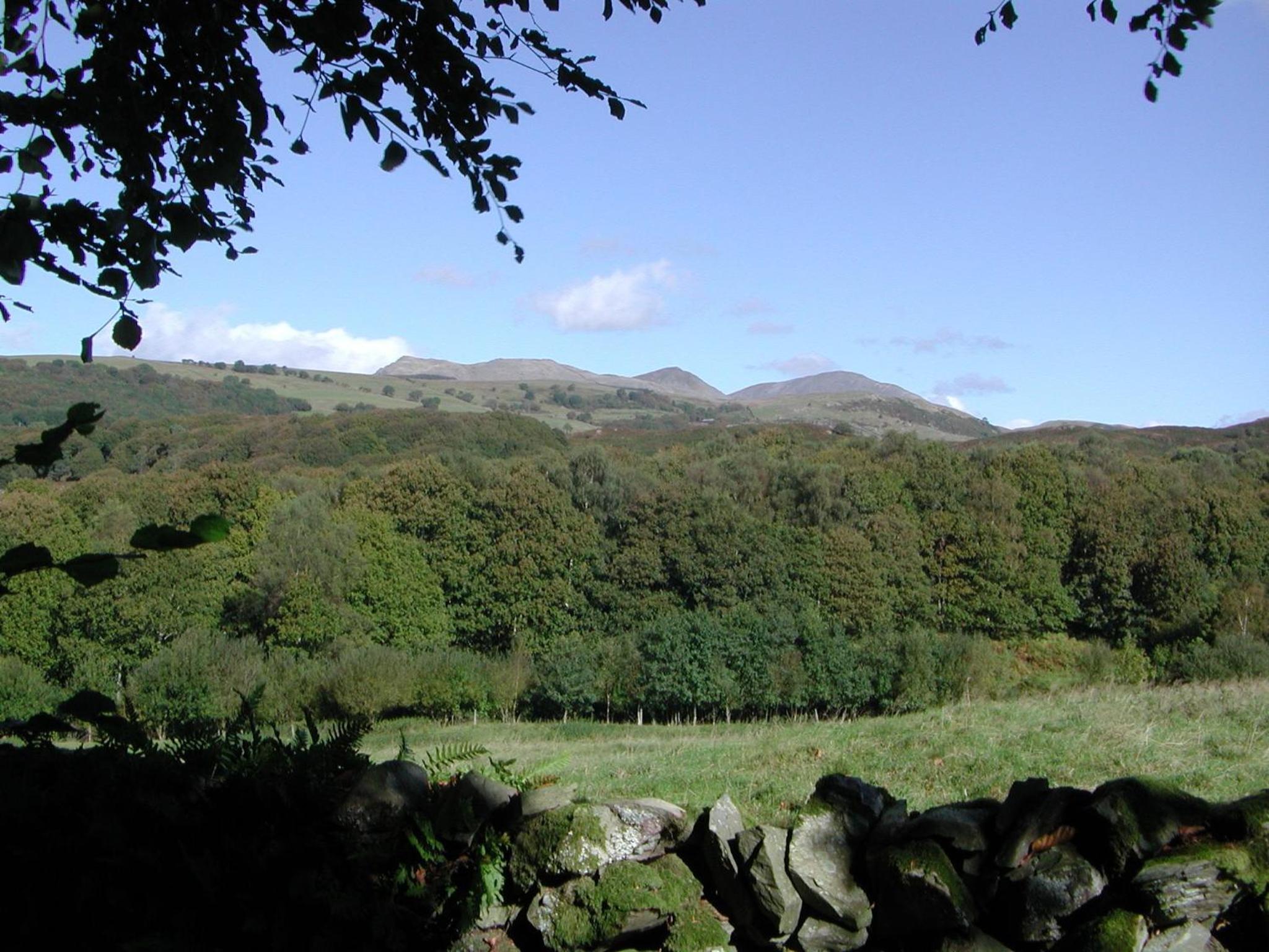 Byre Cottage Woodland Coniston