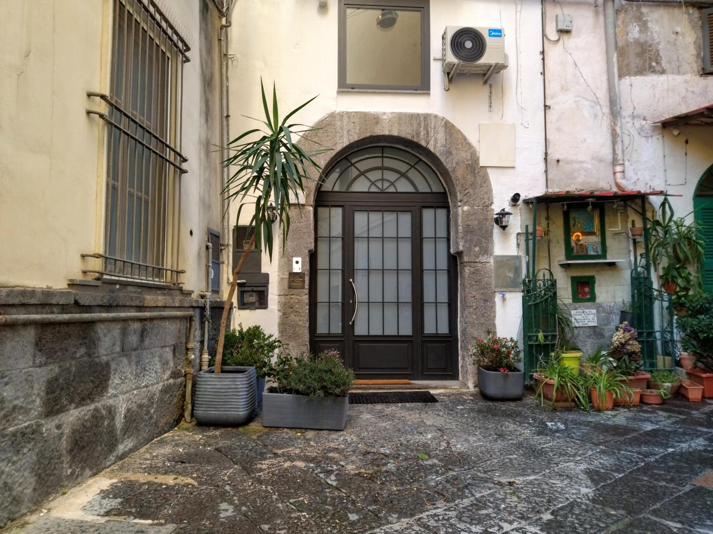 Vesuvius ai Librai