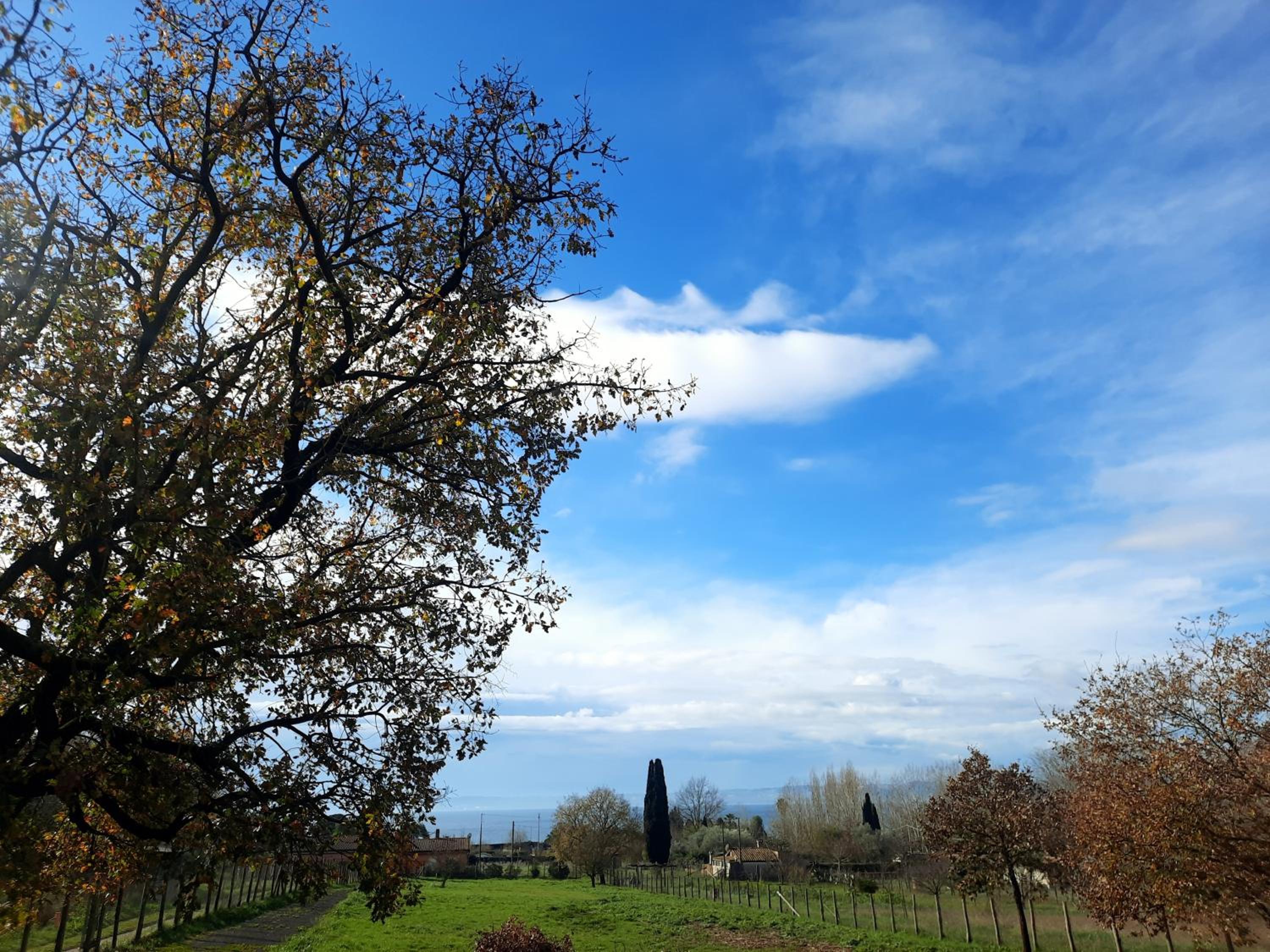 Casa Bella Vista Trevignano Romano view 5