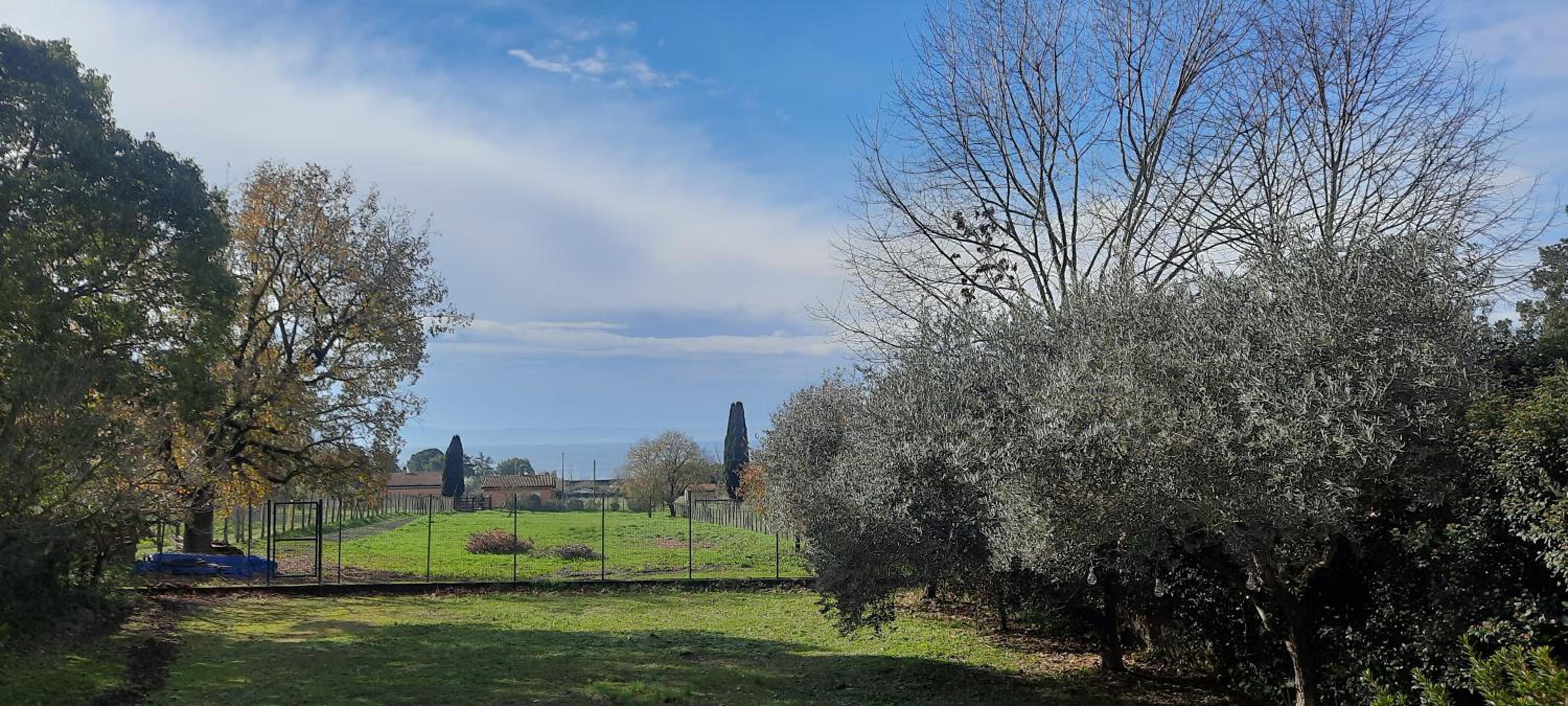 Casa Bella Vista Trevignano Romano view 4