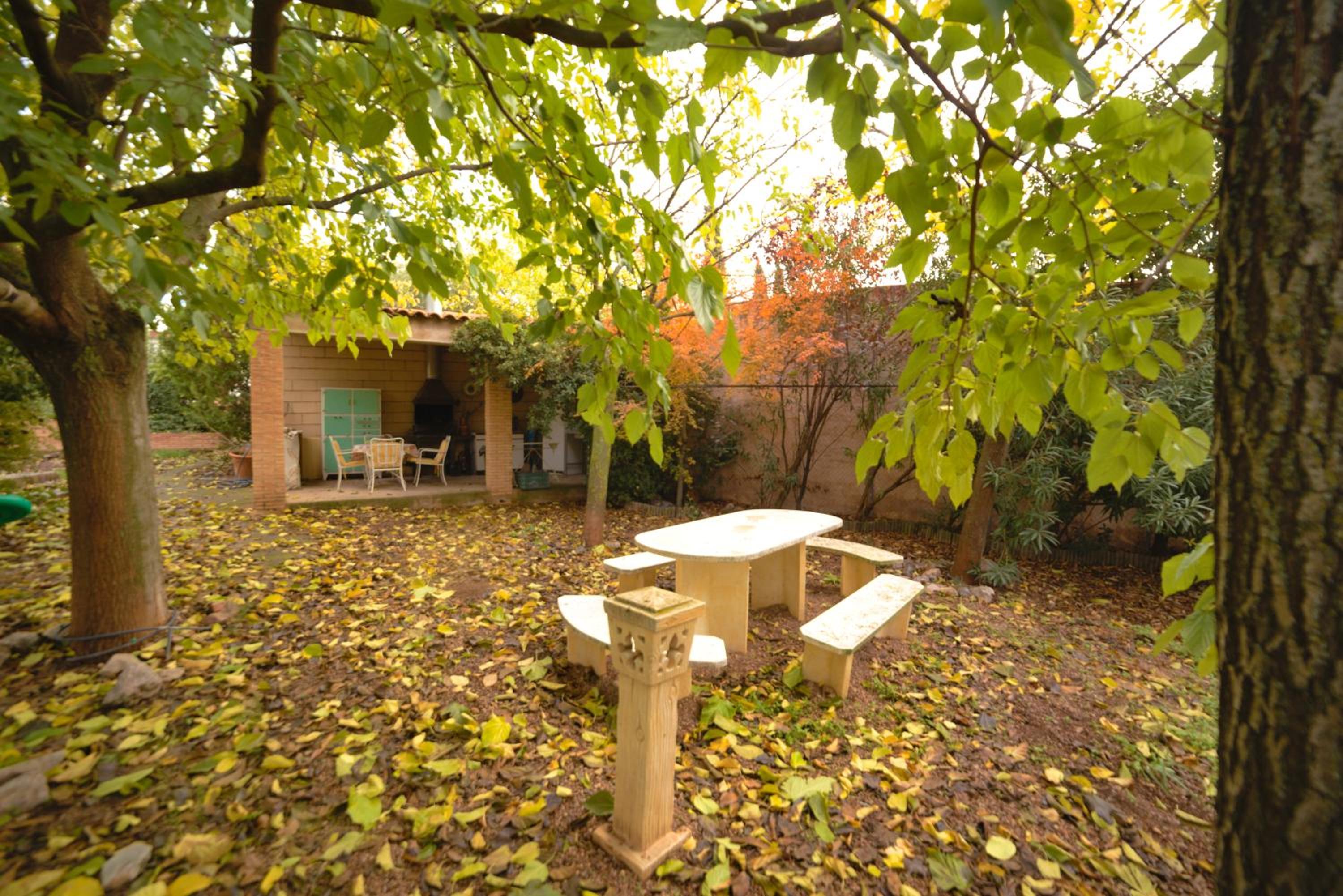 Photo 43