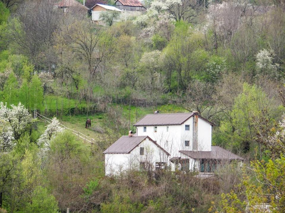 Casa Piscul Lupului view 3