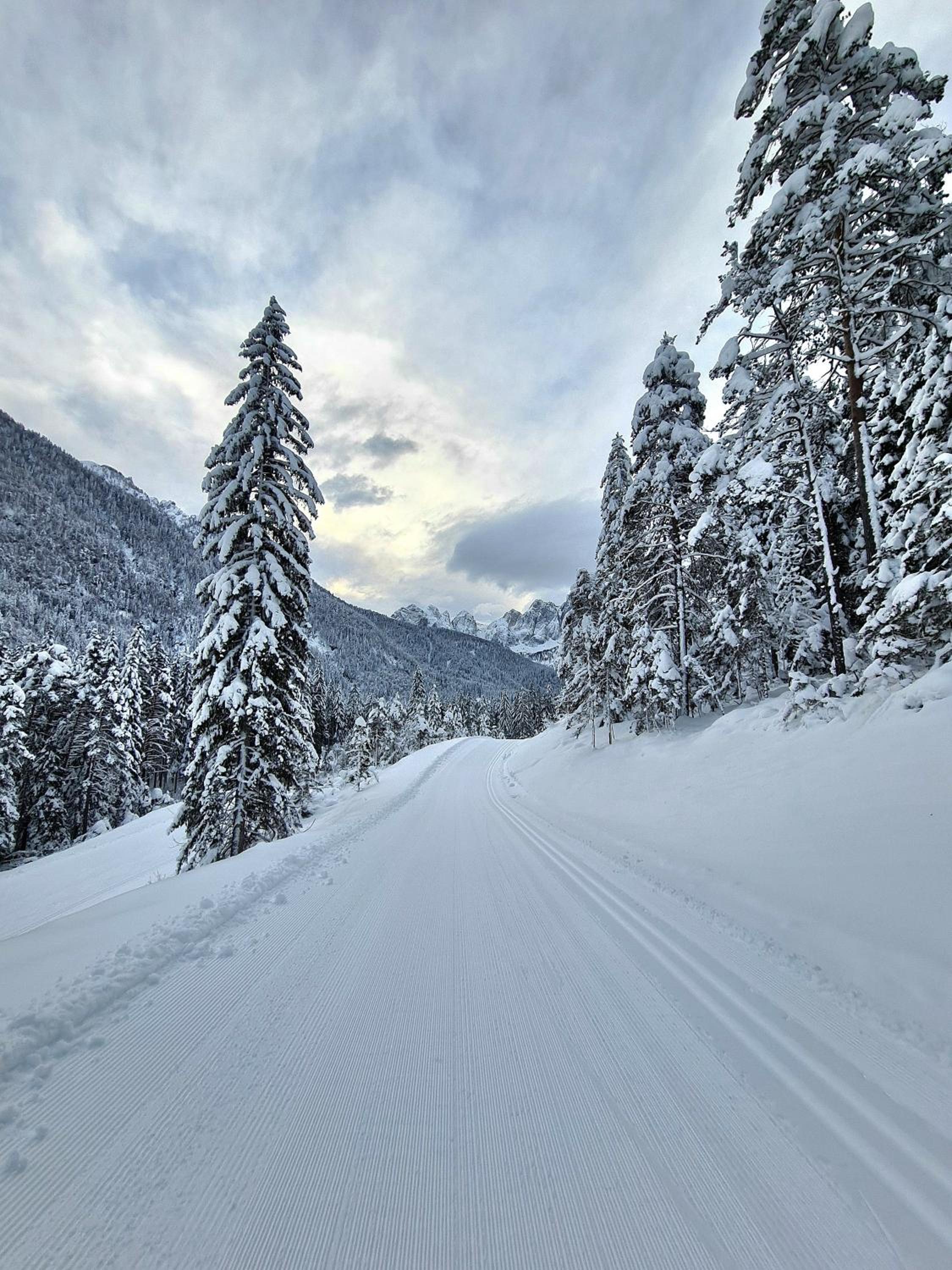 Chalet Camporosso