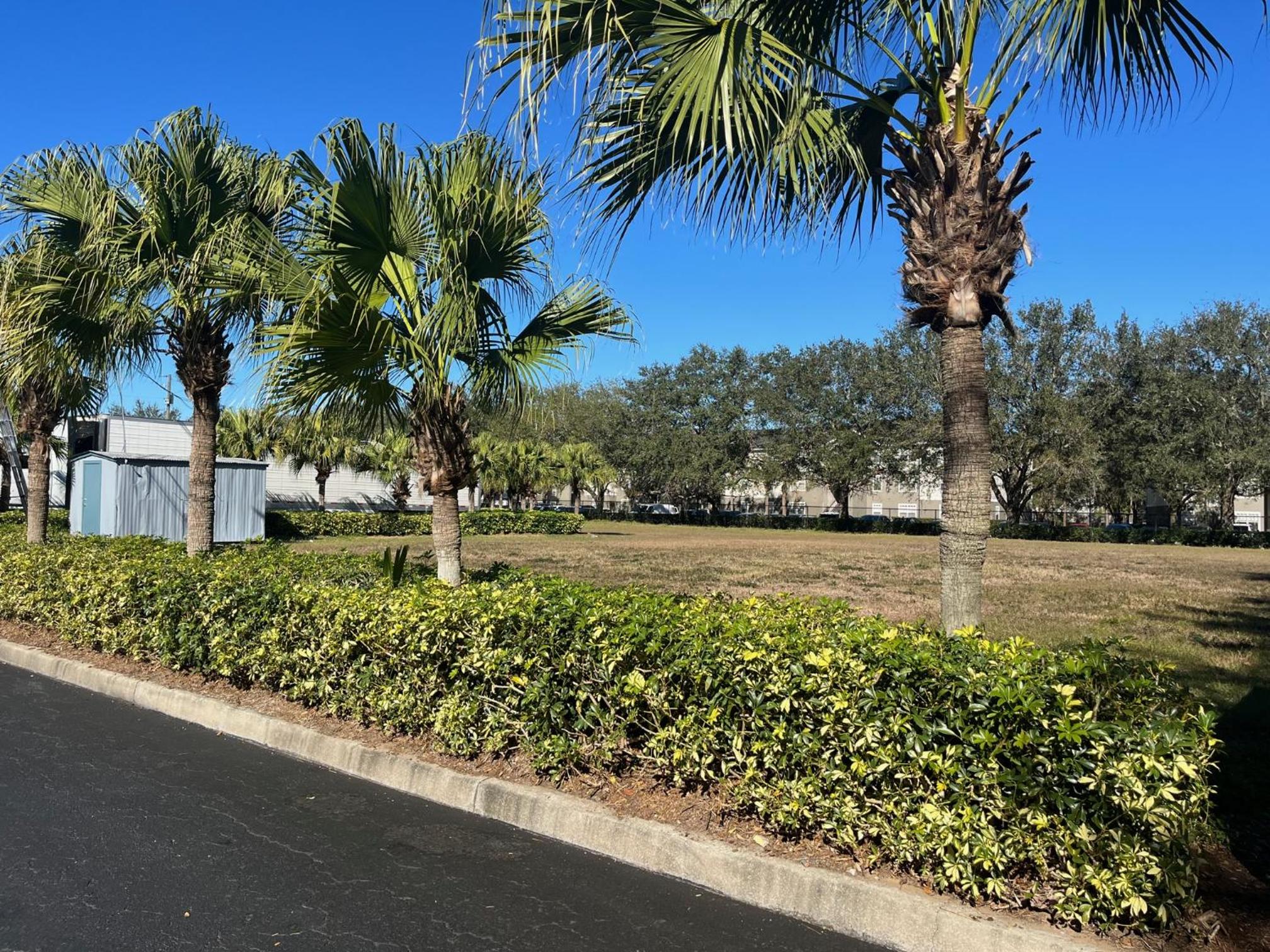 Brandon Motor Lodge