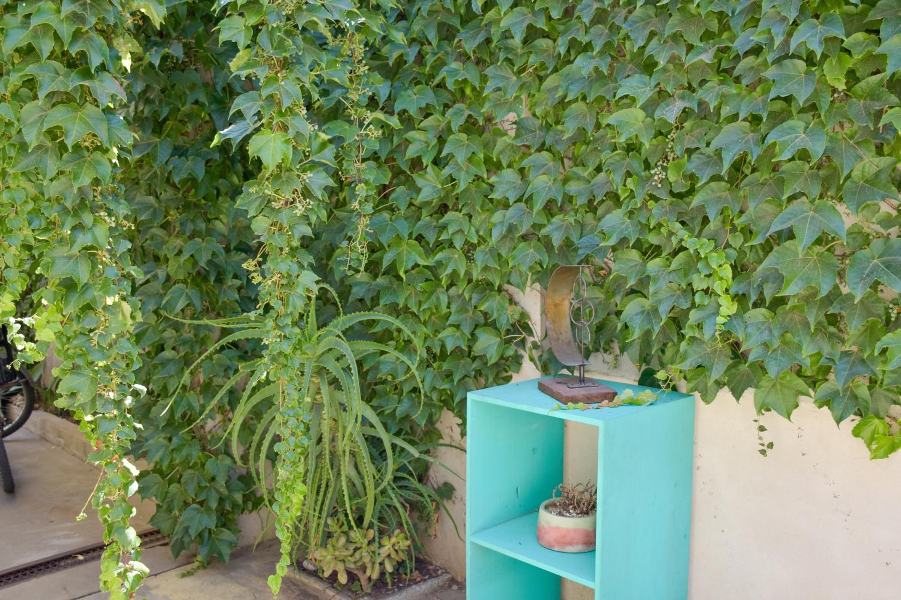 CASA MENDIOLA, encantadora casa con patio privado, y pileta en jardín cerca de la Laguna
