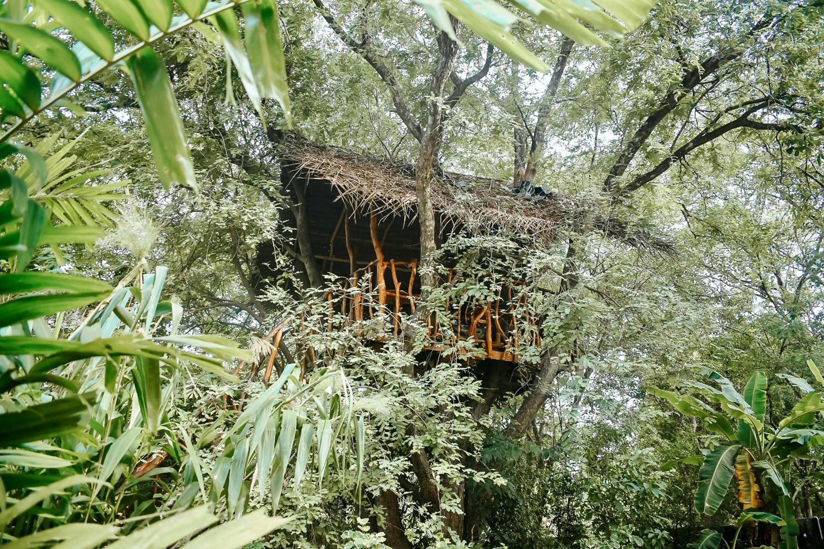Dudley Nature Resort