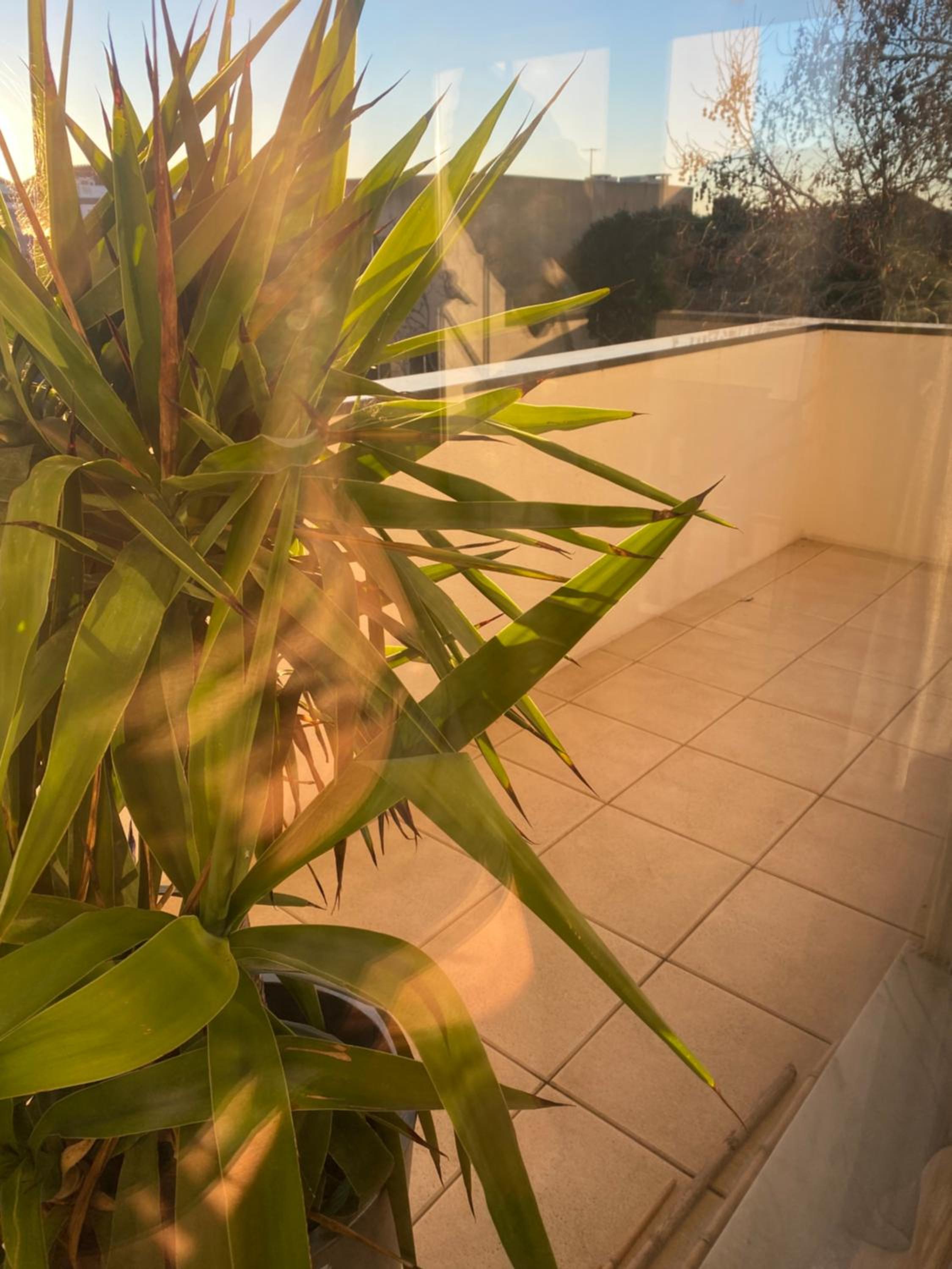 Riverside - apartment view 2