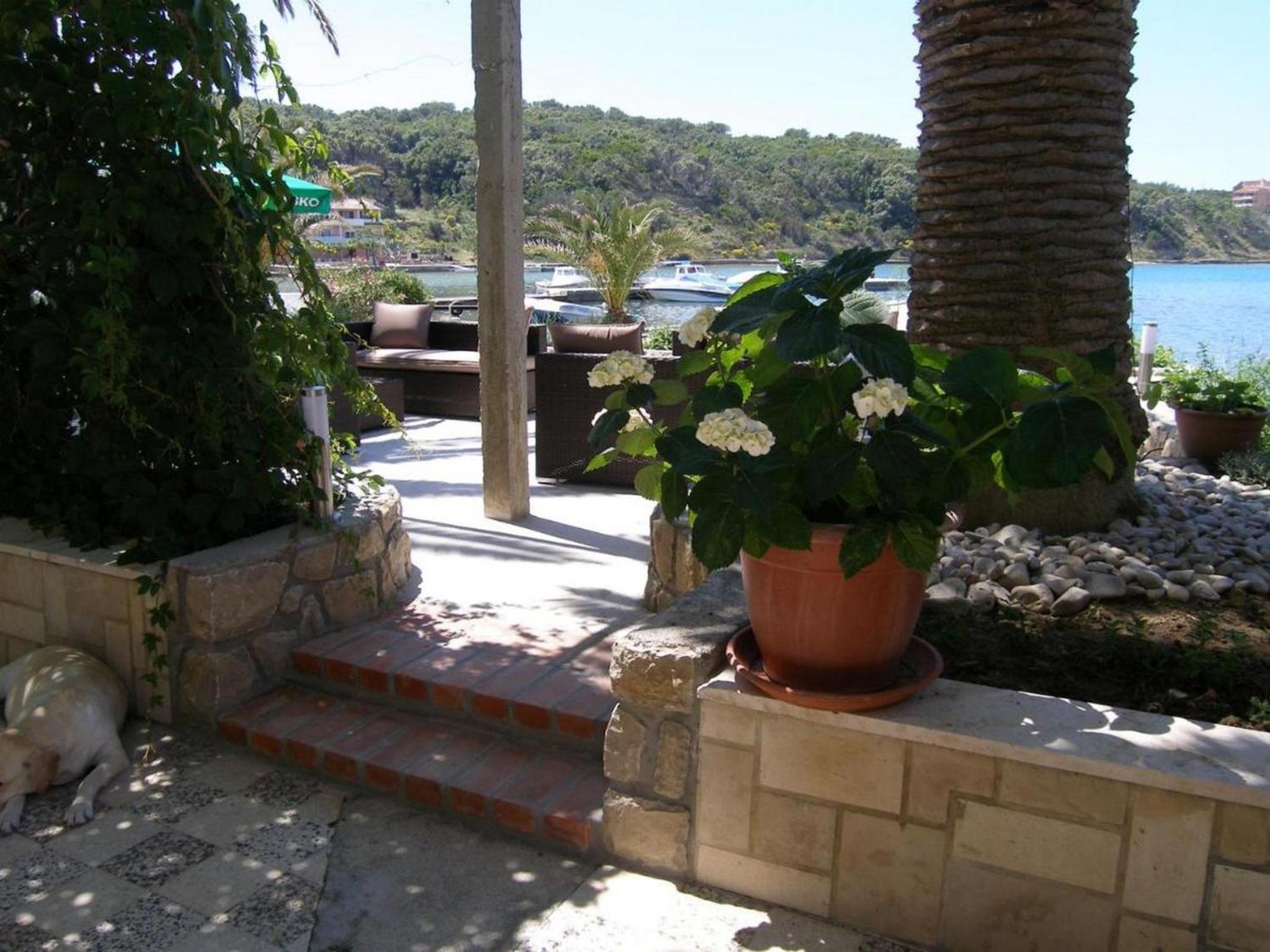 Photo 28