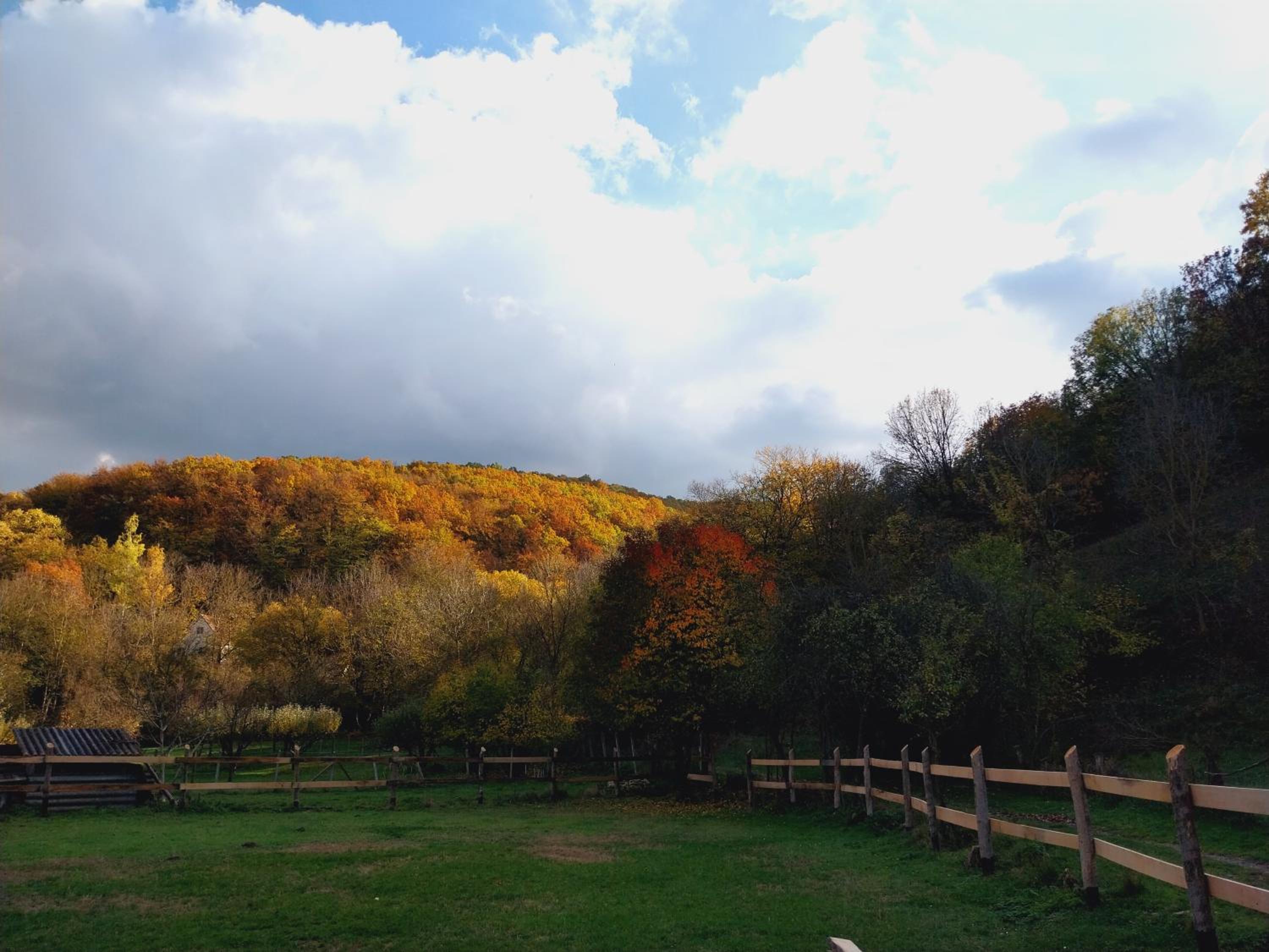 Lovas Vendégház view 5