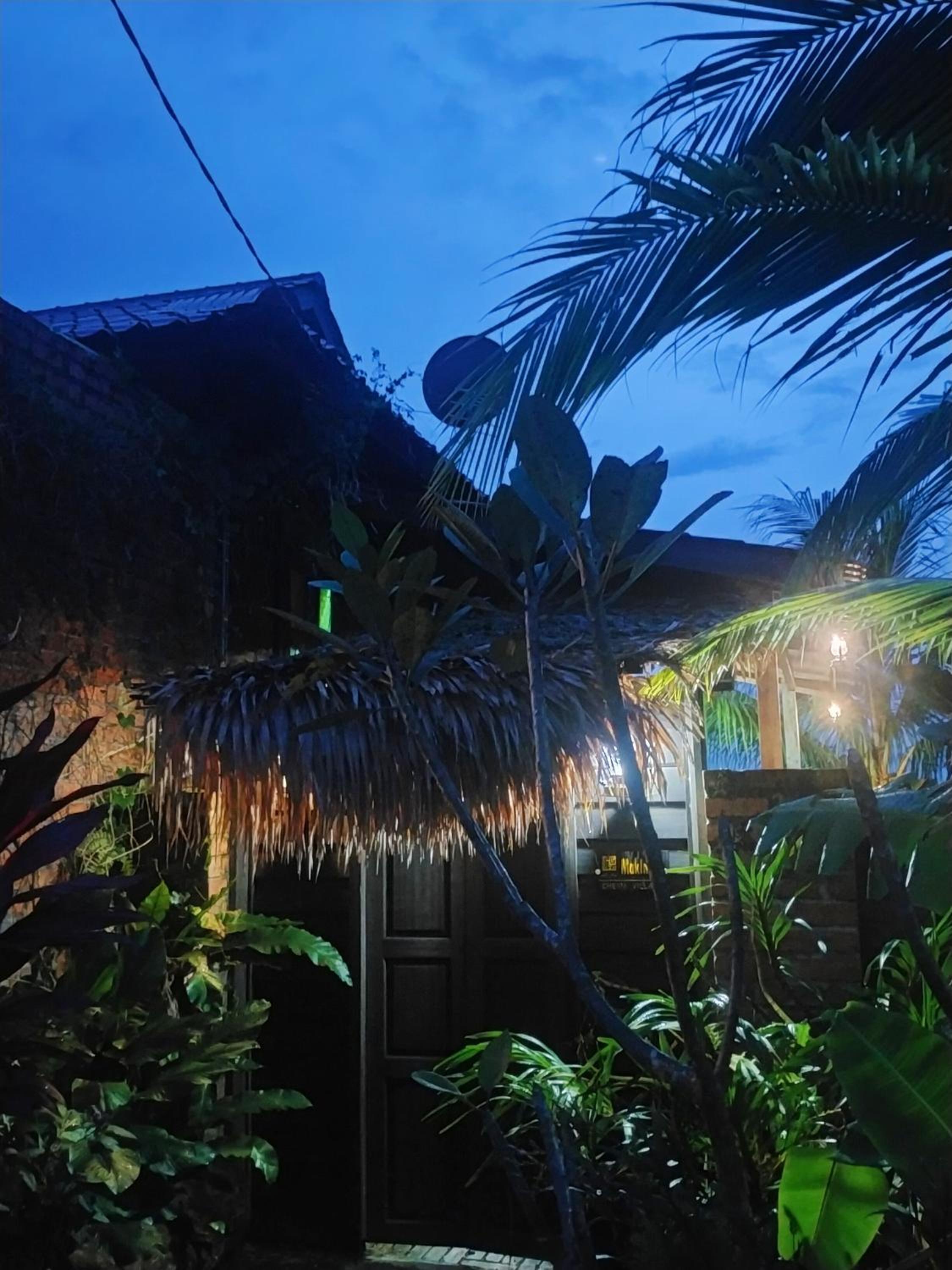 Villa Mak Intan, Che'Pa Village Langkawi photo 5